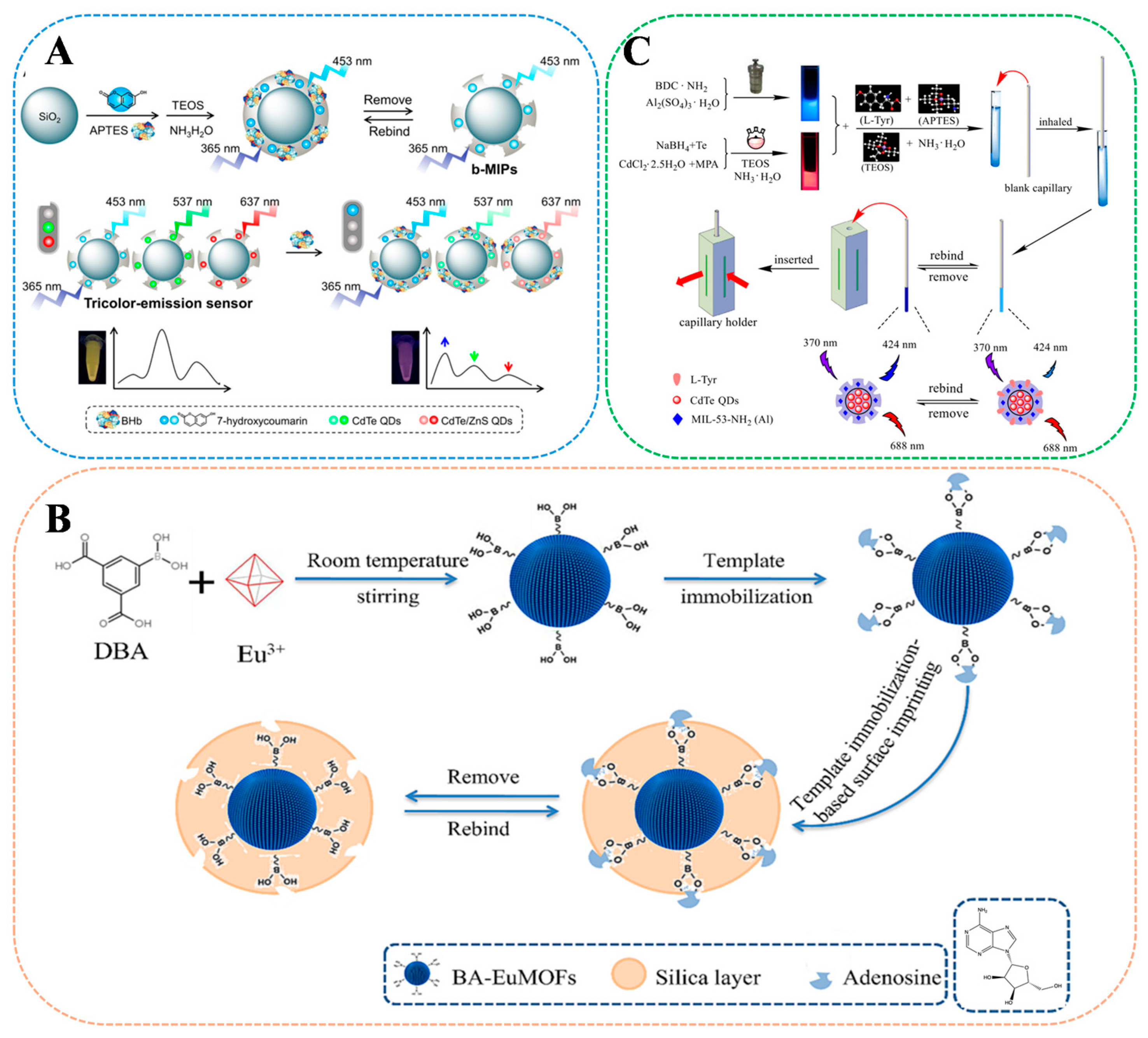 Sensors 24 07068 g007