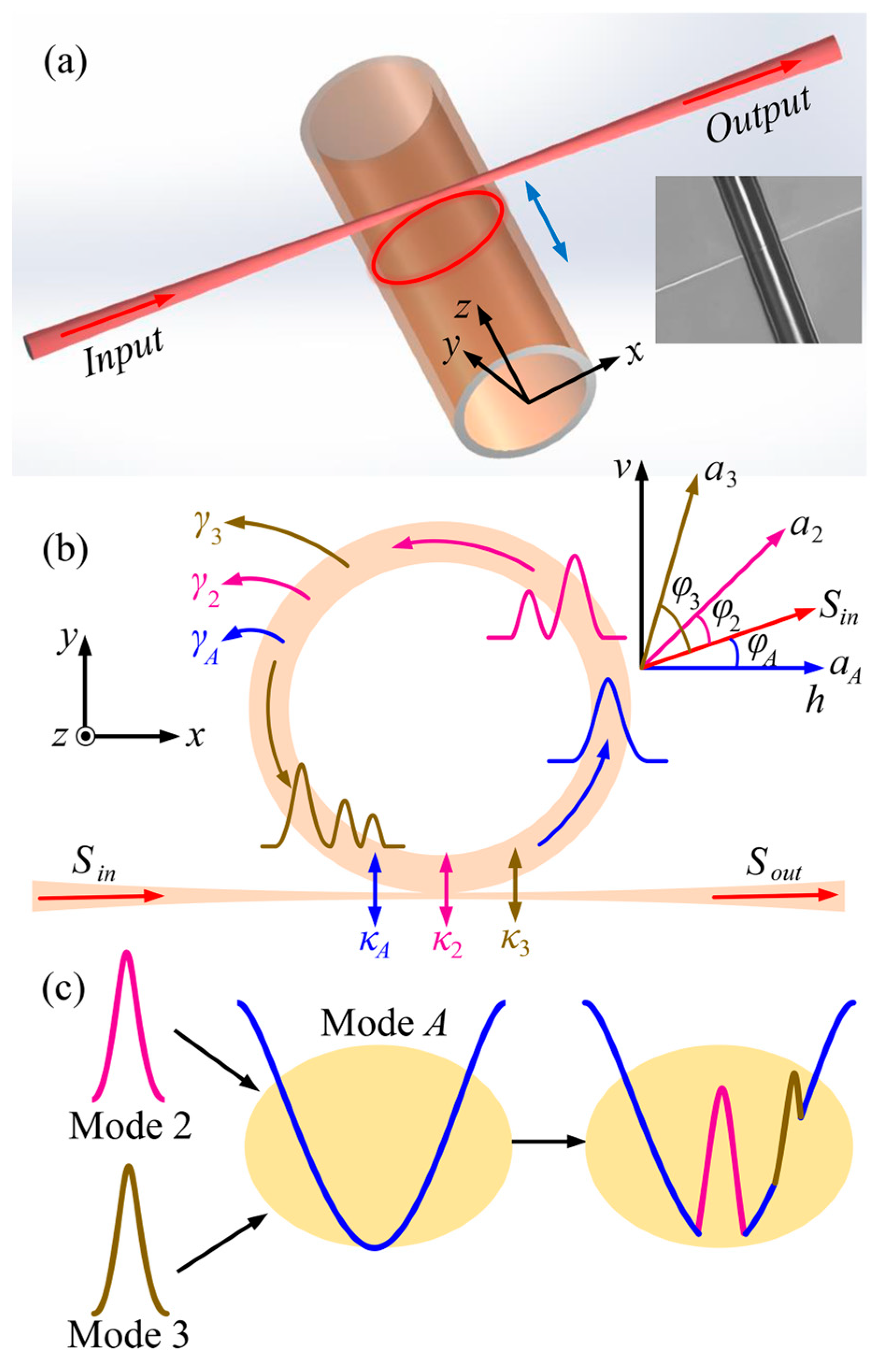 Sensors 24 07069 g002