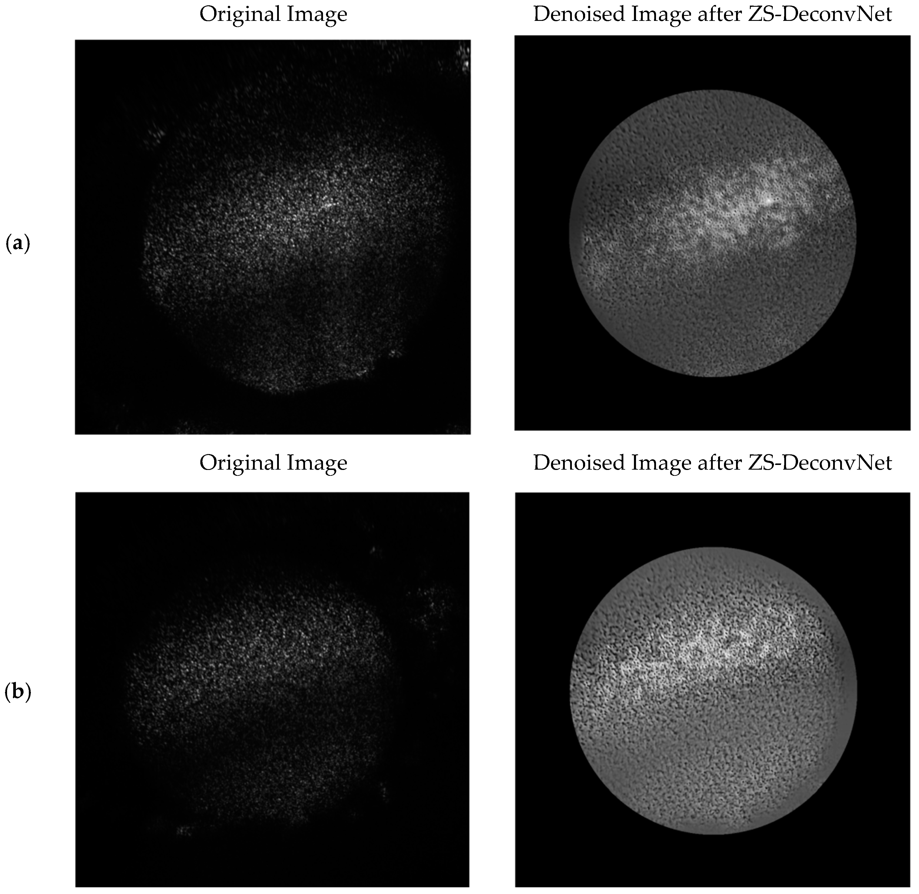 Sensors 24 07083 g005
