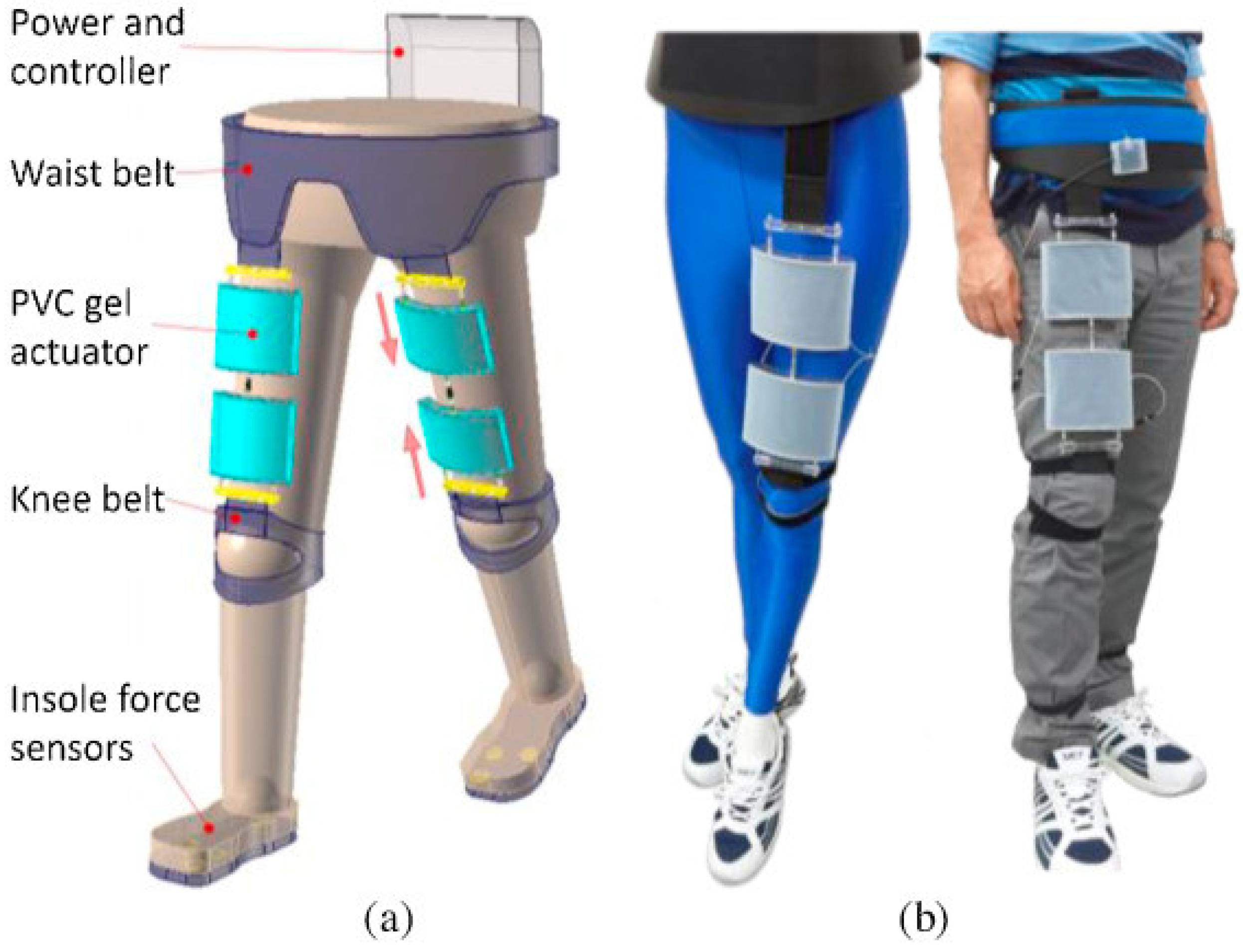 Sensors 24 07095 g005