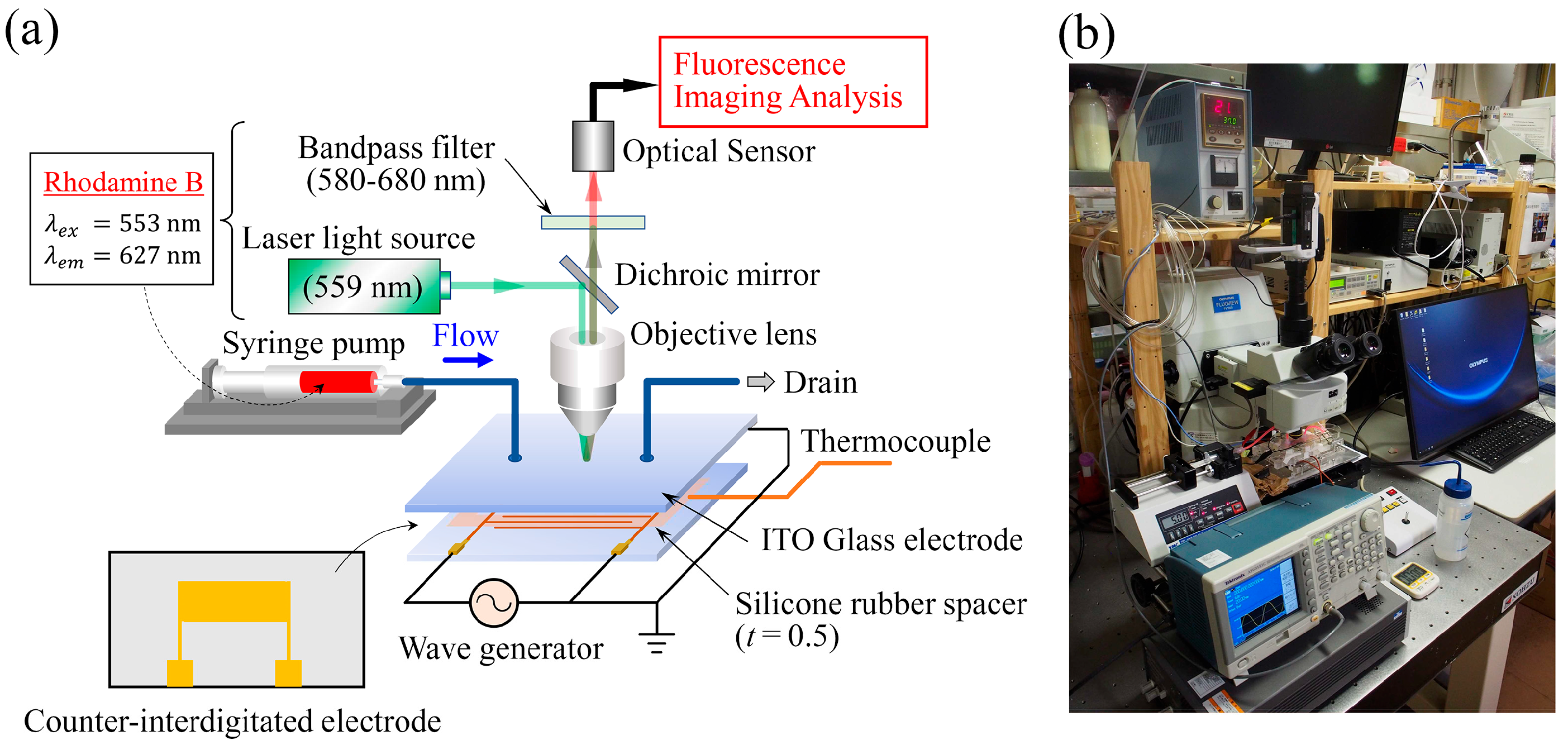 Sensors 24 07098 g005