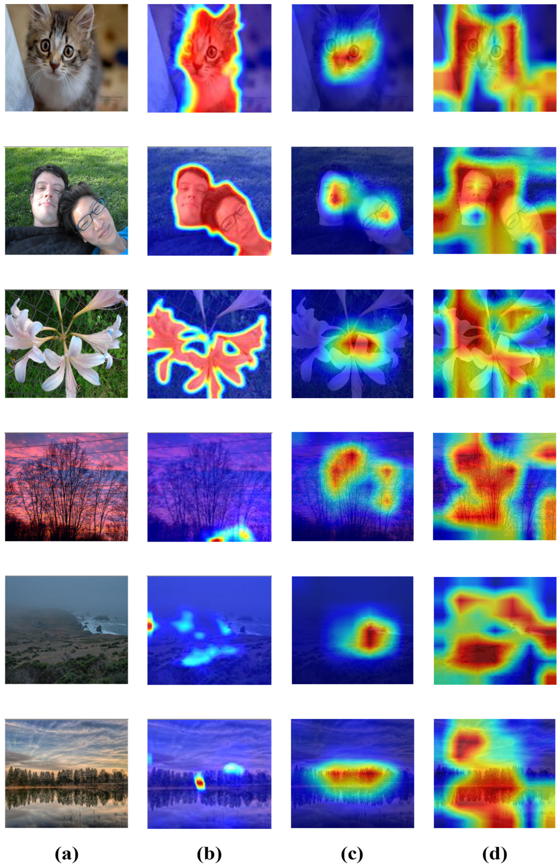 Sensors 24 07099 g006