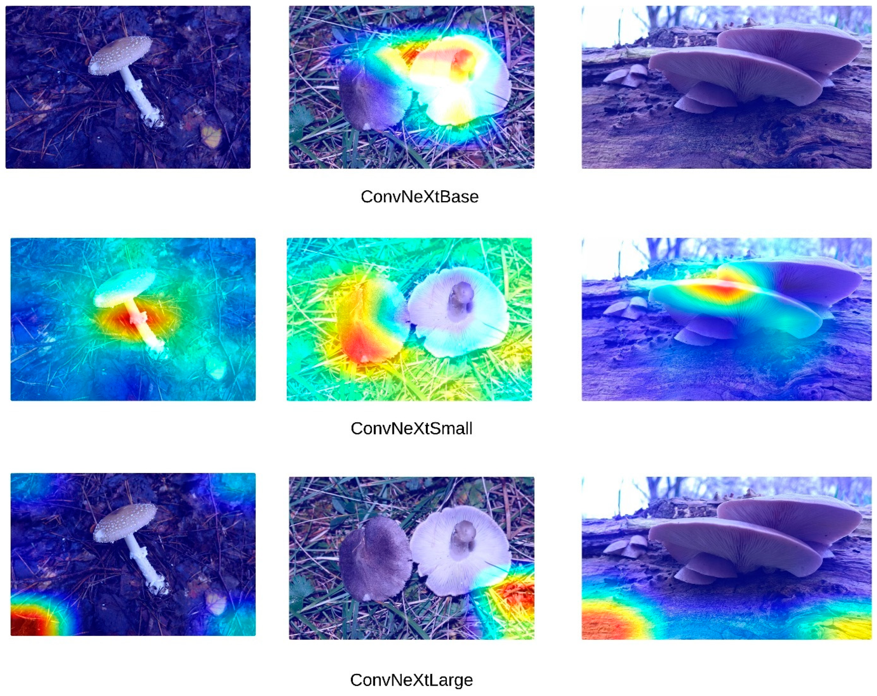 Sensors 24 07189 g005