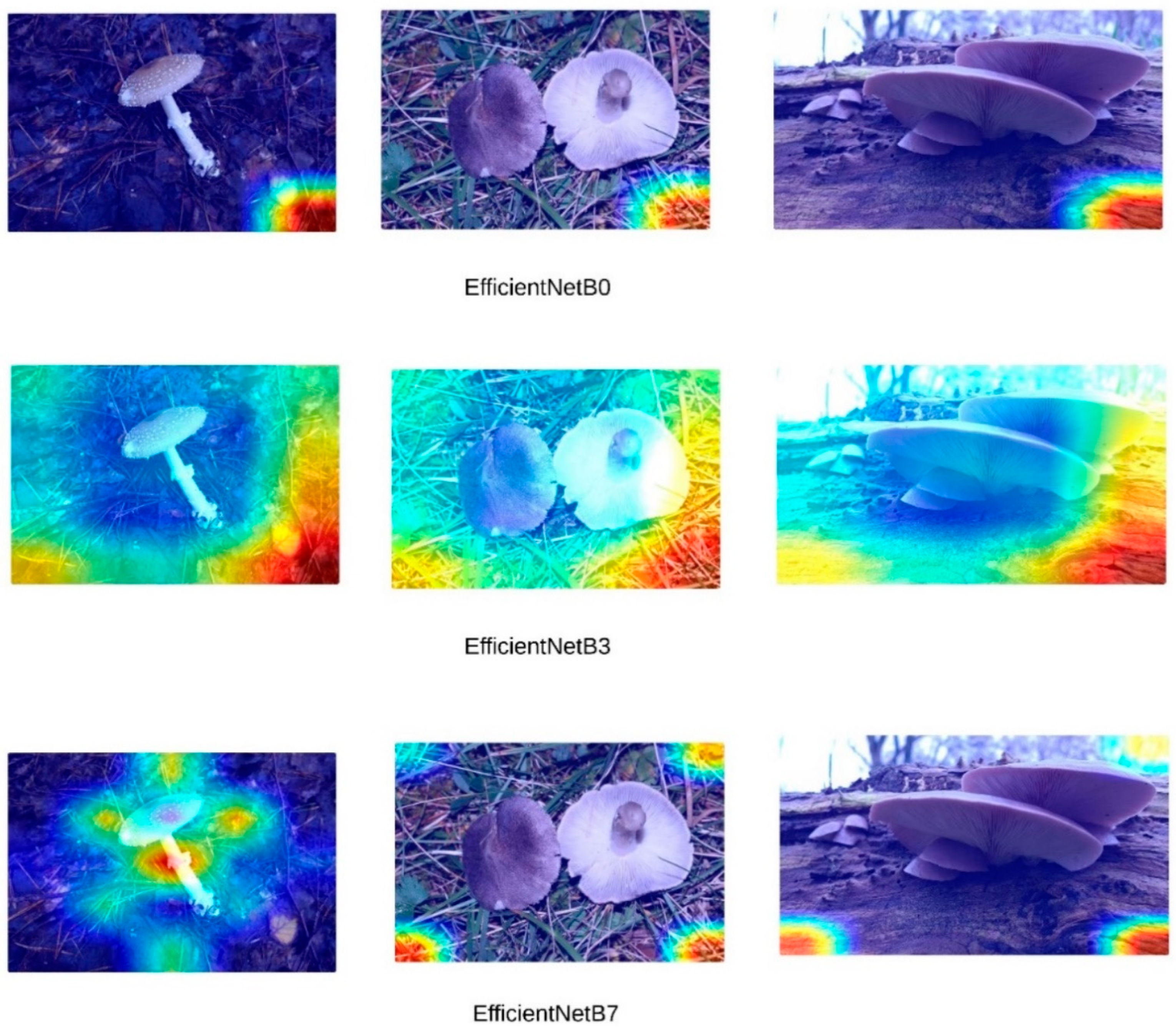 Sensors 24 07189 g006