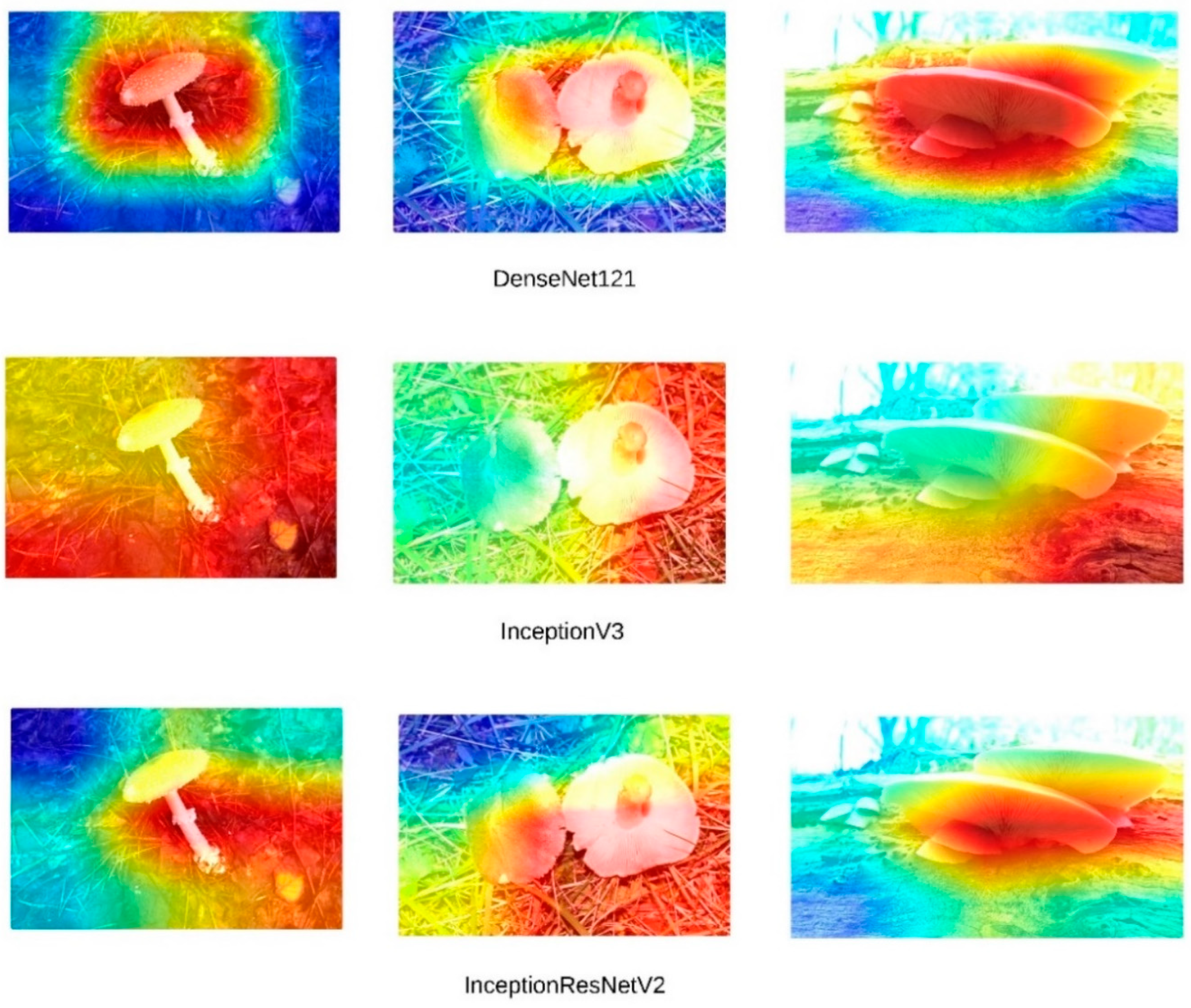 Sensors 24 07189 g007