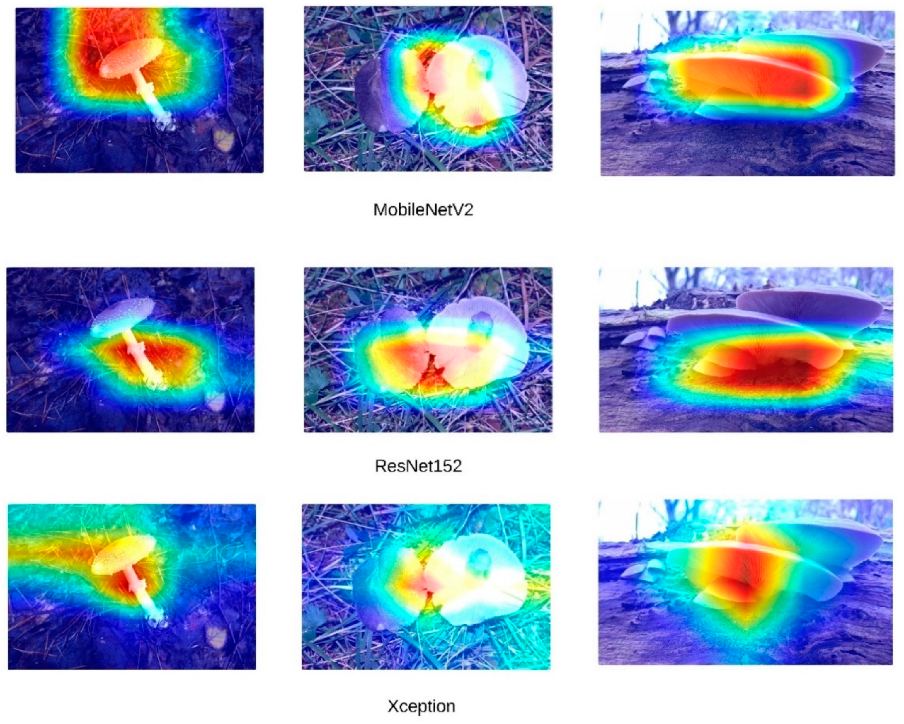 Sensors 24 07189 g008