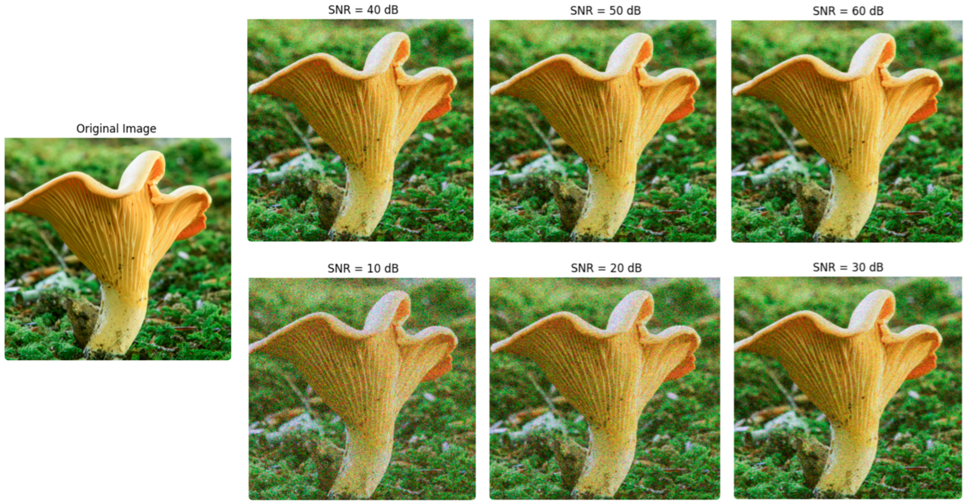 Sensors 24 07189 g009