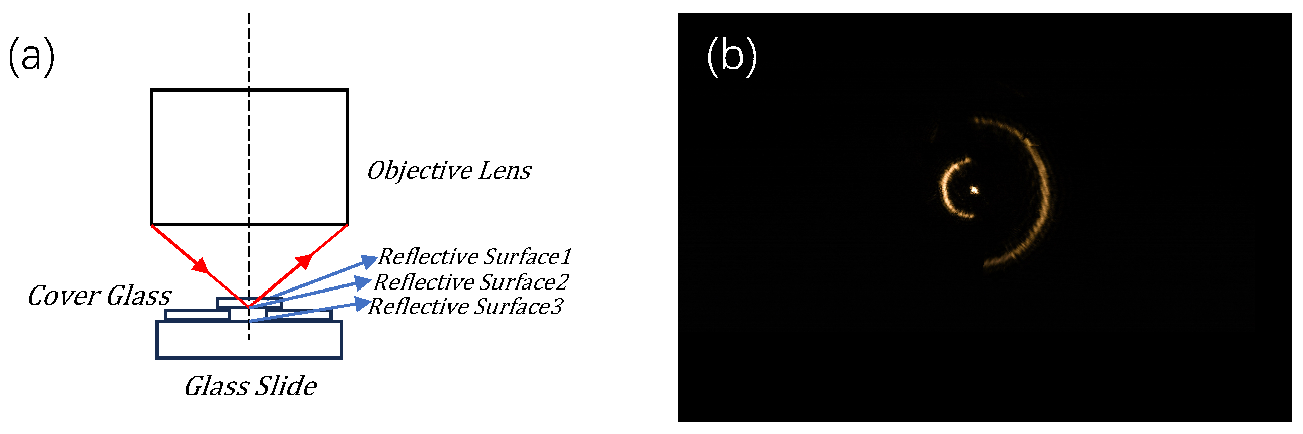 Sensors 24 07228 g012