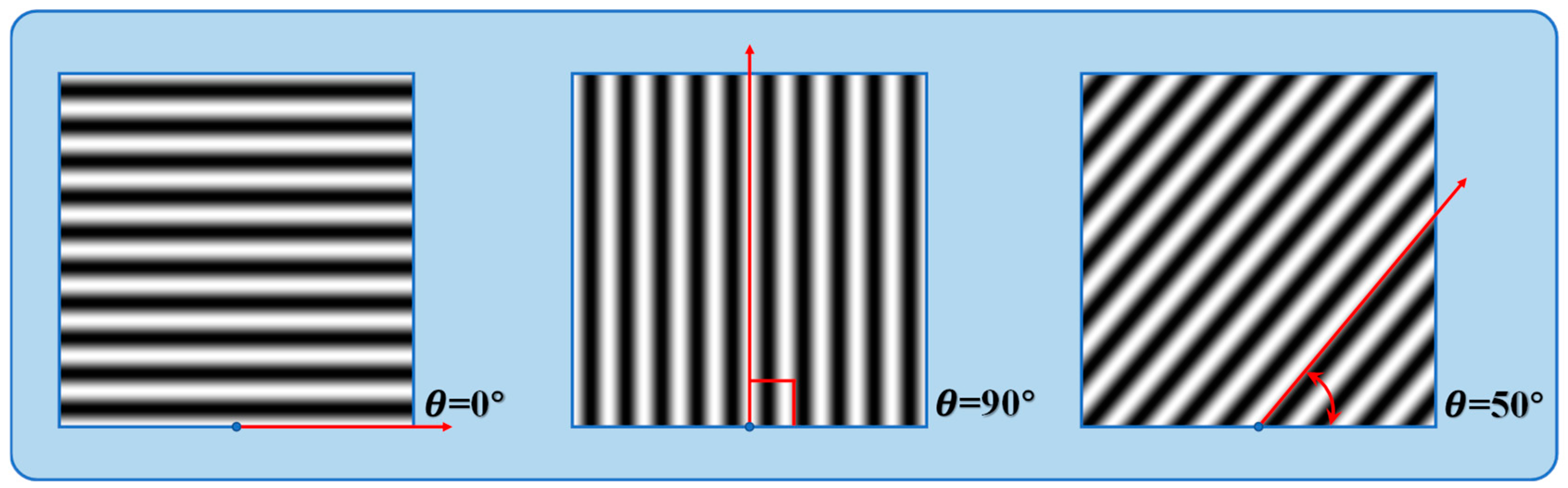 Sensors 24 07234 g005