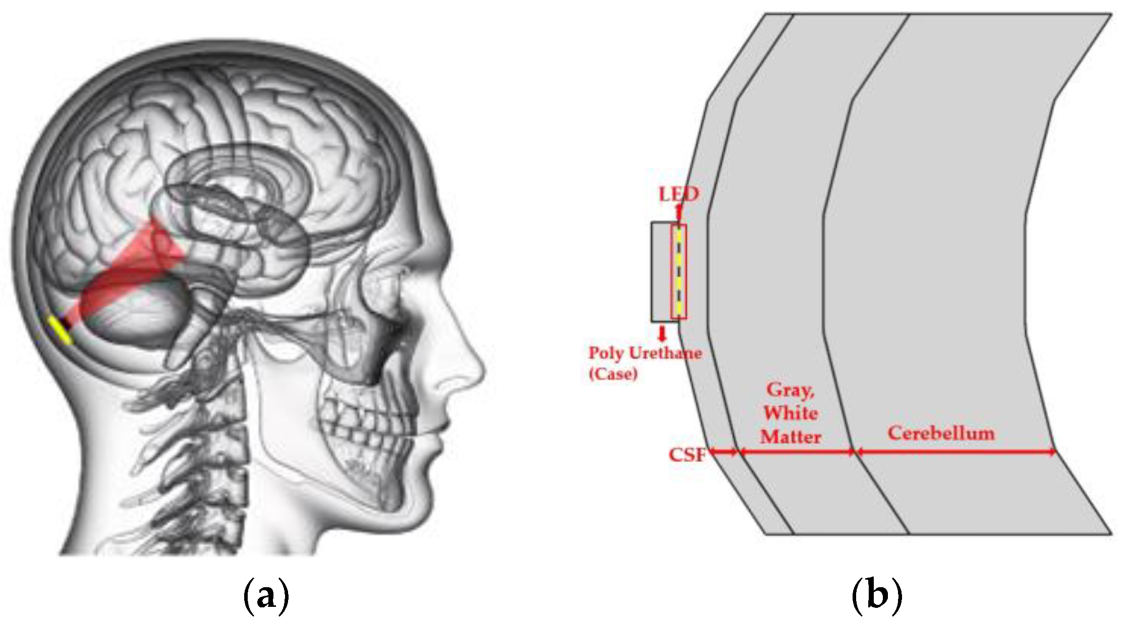 Sensors 24 07282 g003
