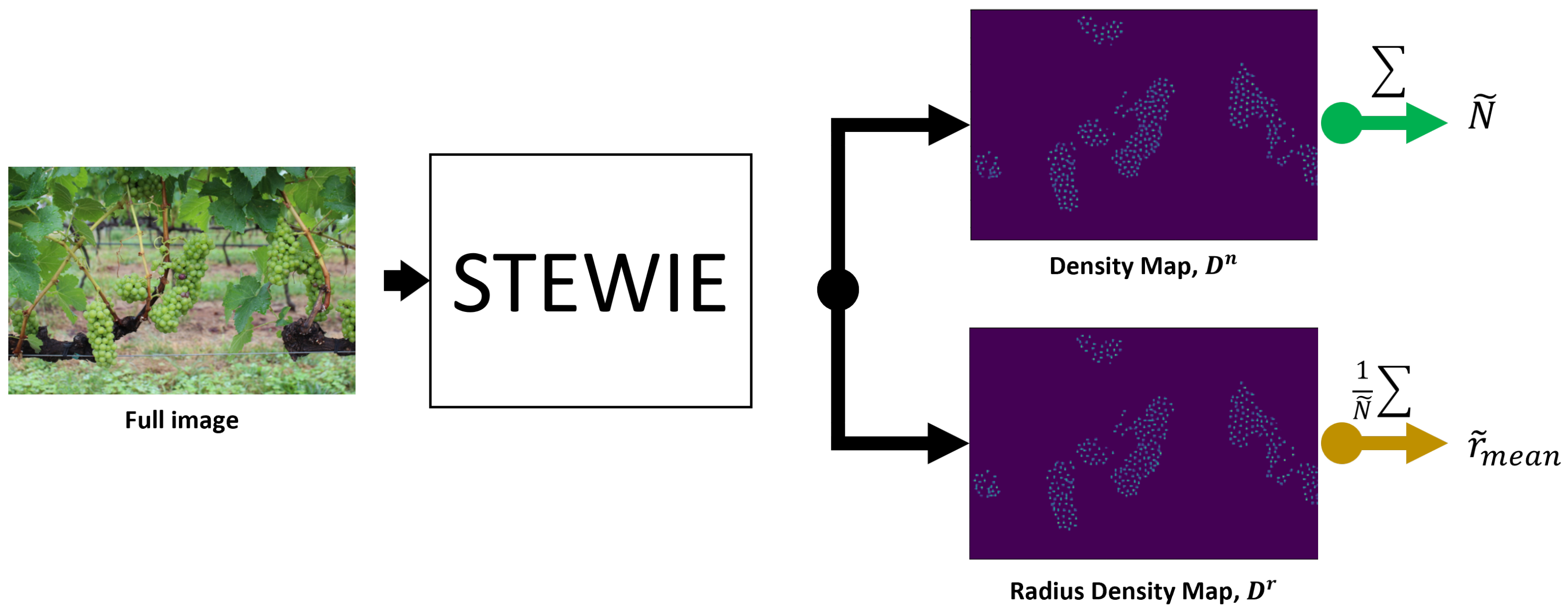 Sensors 24 07305 g001 Sensors 24 07305 g001