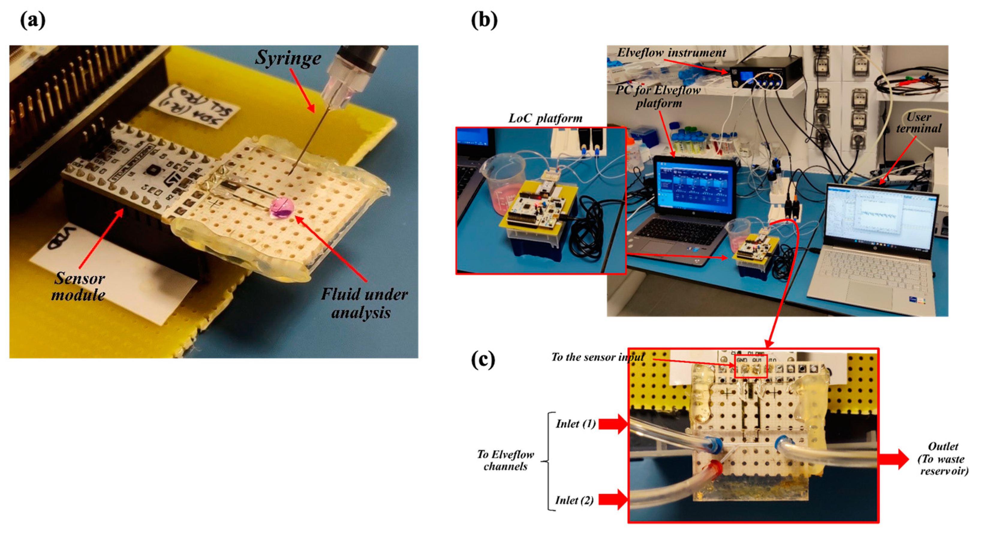 Sensors 24 07329 g003