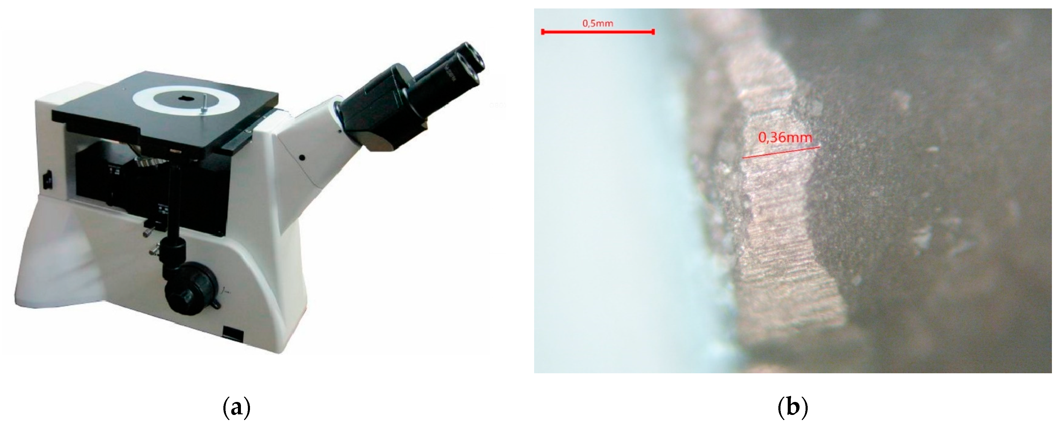 Sensors 24 07403 g008