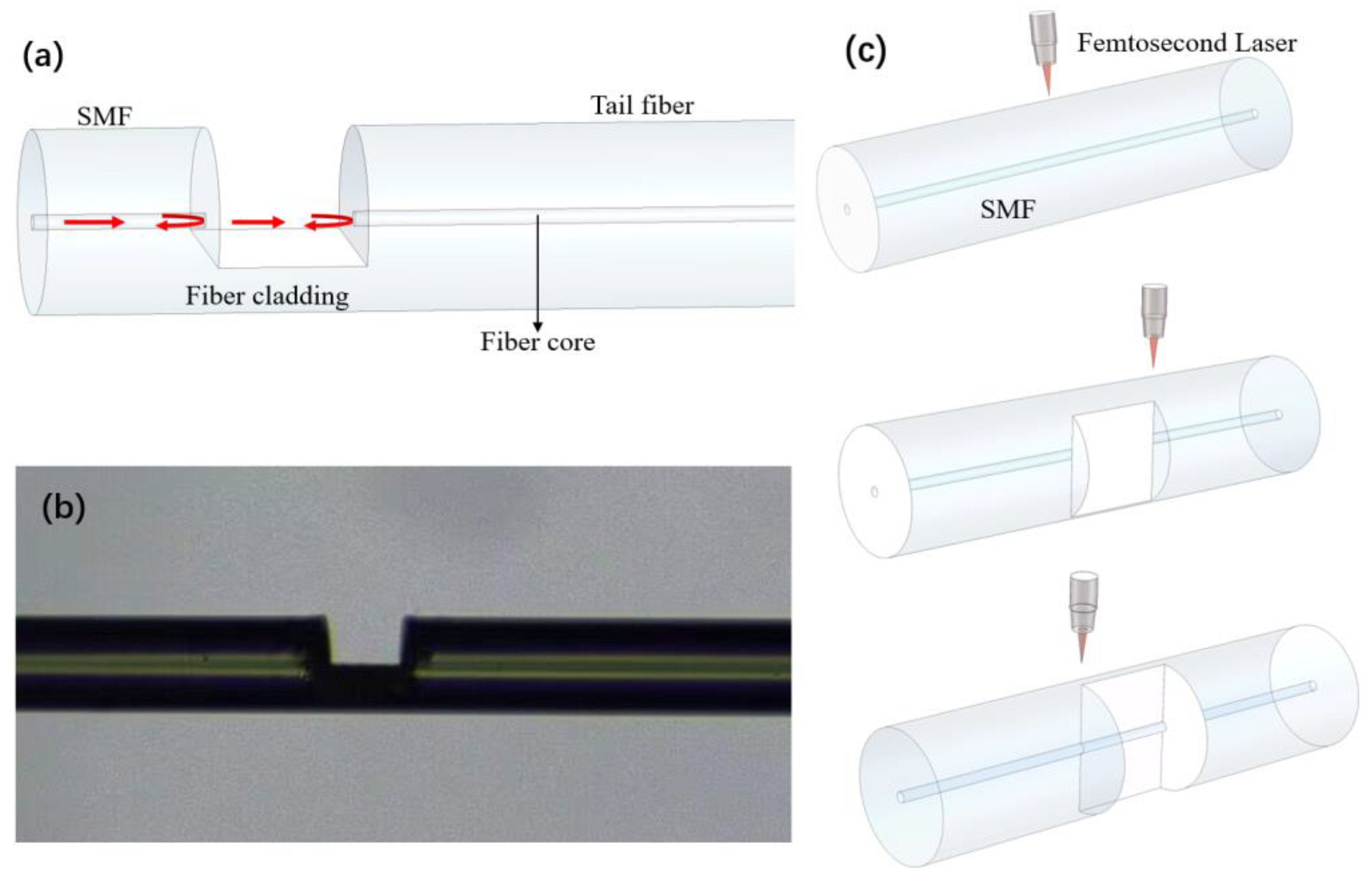 Sensors 24 07479 g001