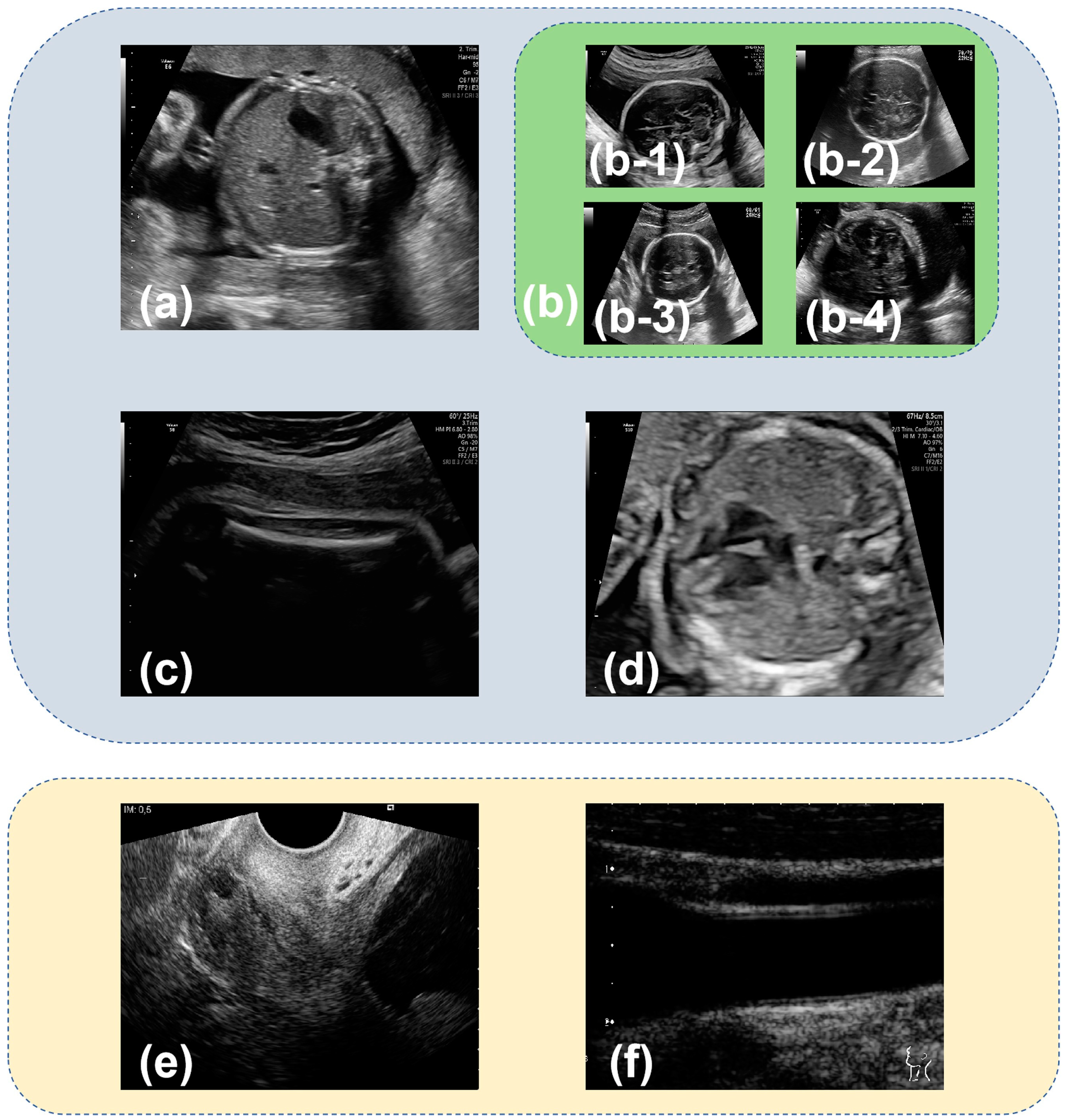 Sensors 24 07510 g001