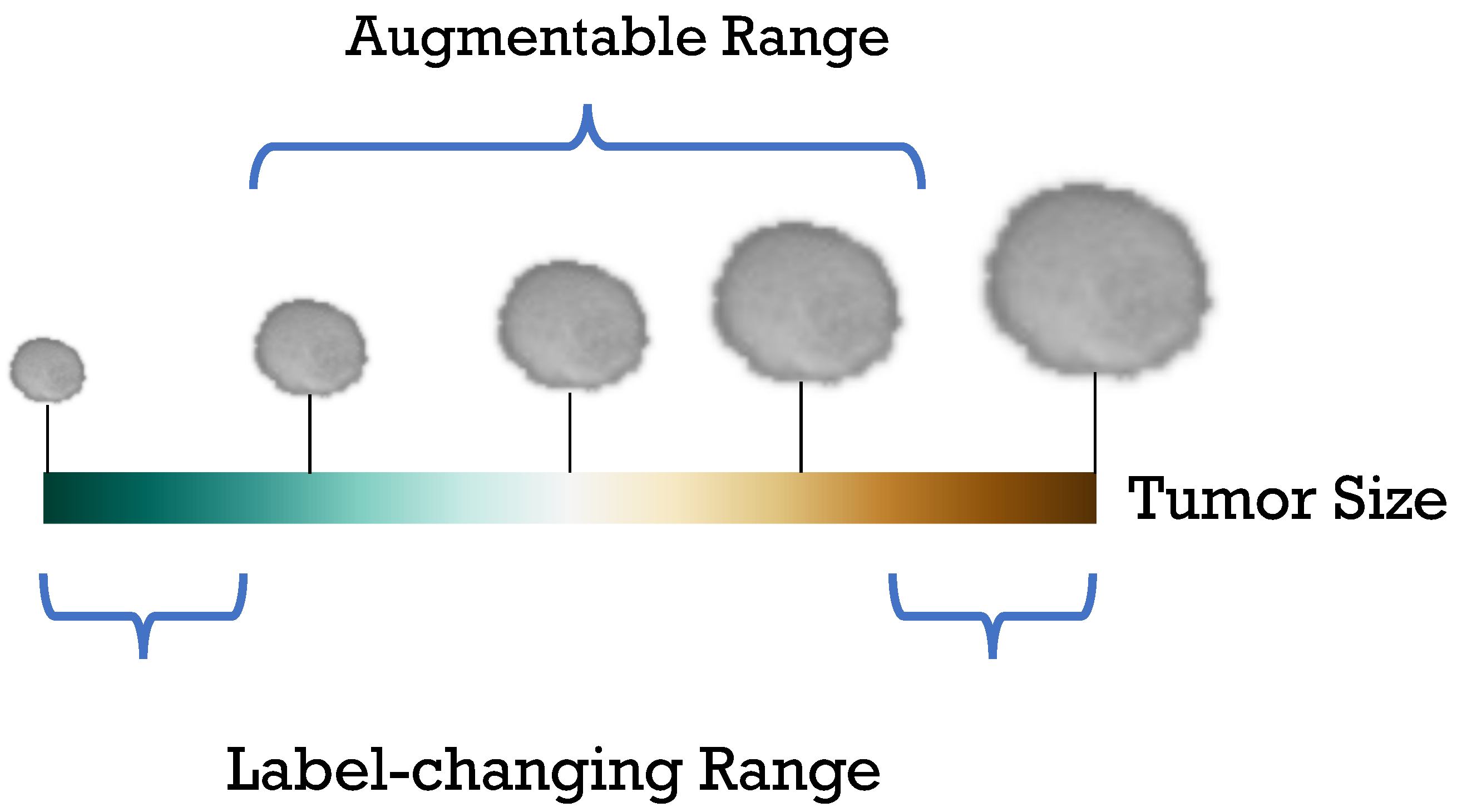 Sensors 24 07511 g002