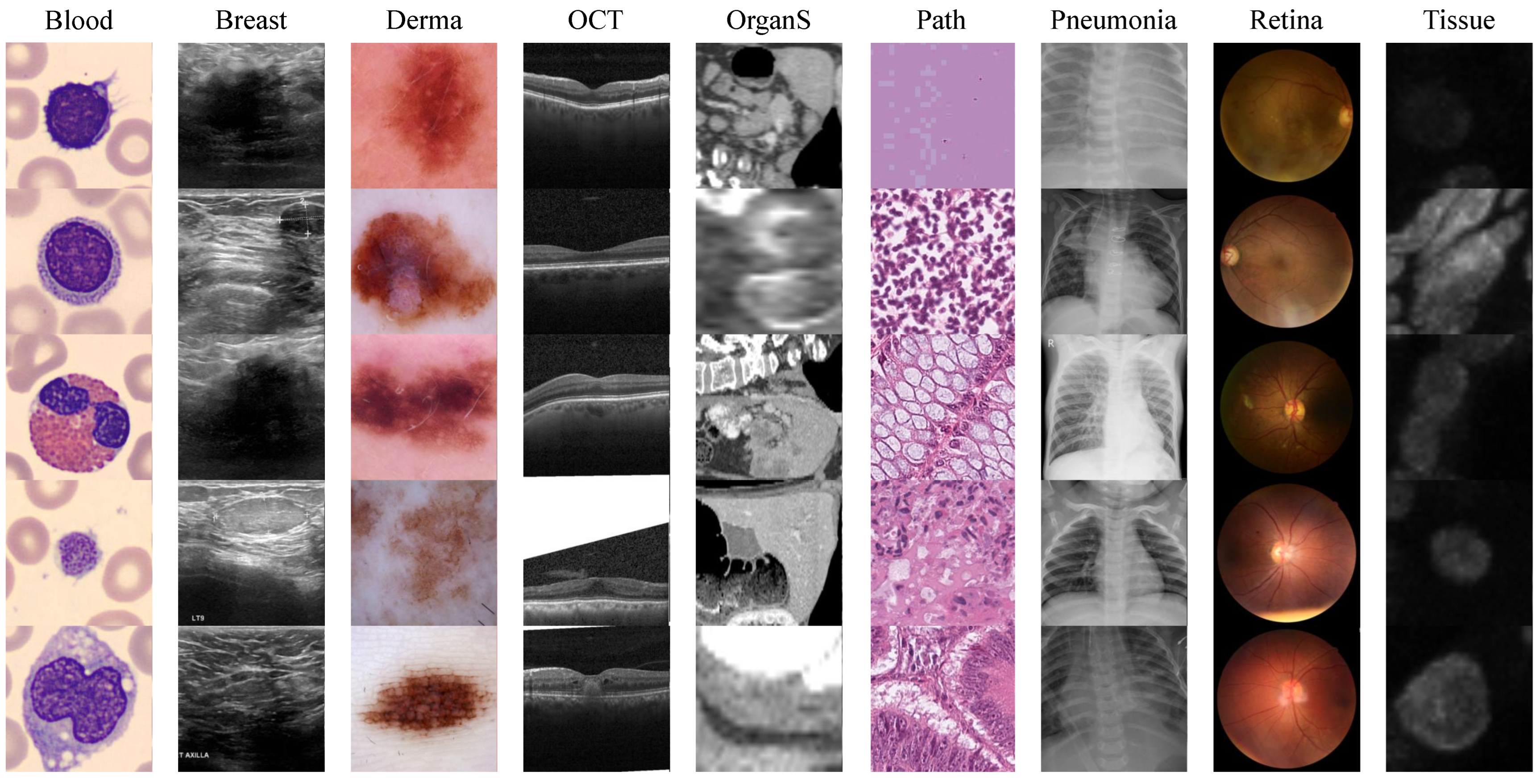 Sensors 24 07511 g004
