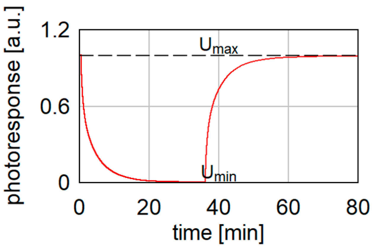 Sensors 24 07533 g007