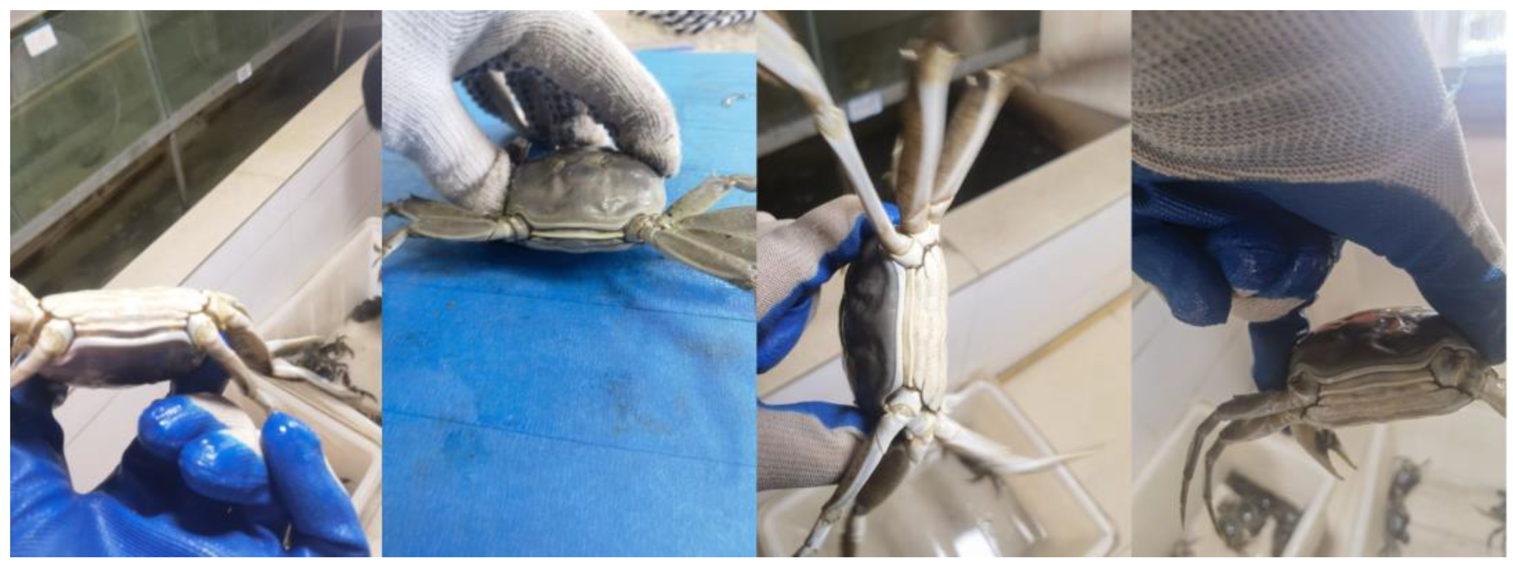 Sensors 24 07593 g001