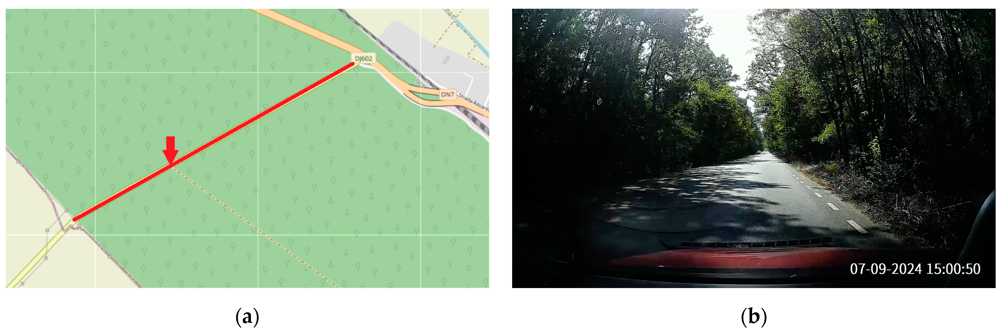 Sensors 24 07607 g006