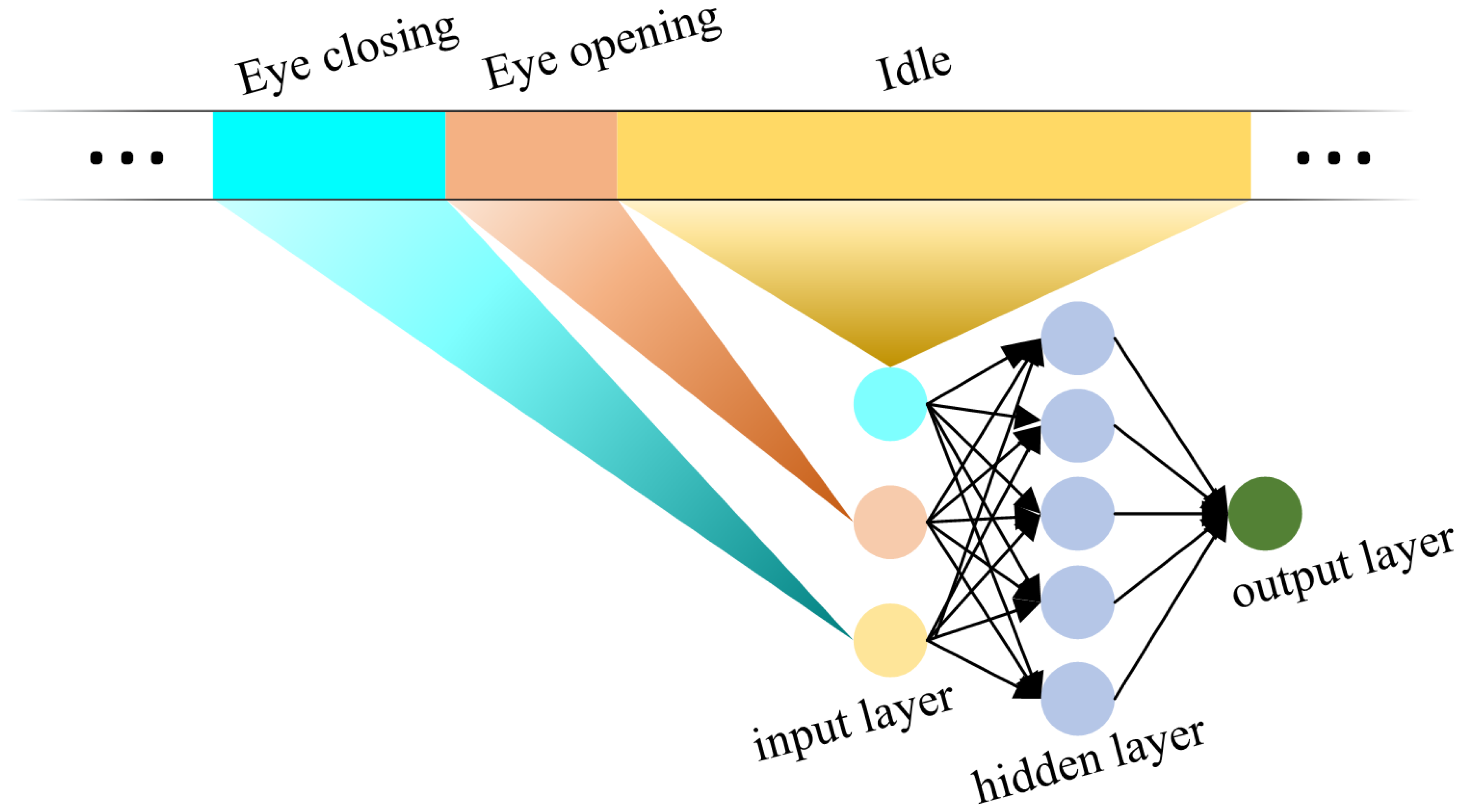 Sensors 24 07633 g007