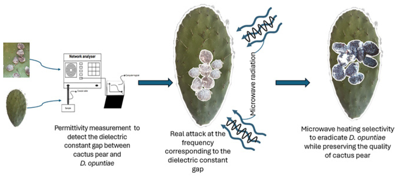 Sensors 24 07696 g014