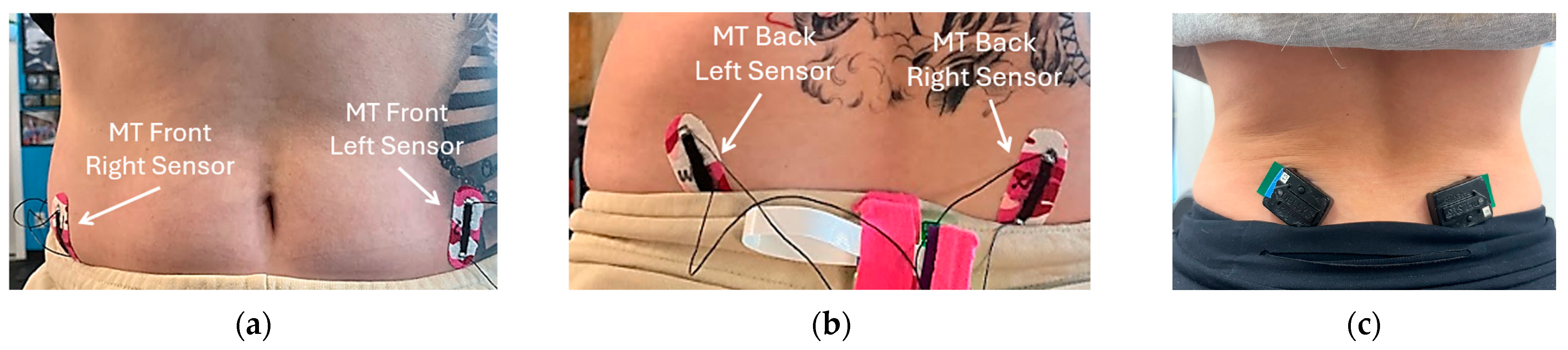 Sensors 24 07700 g002