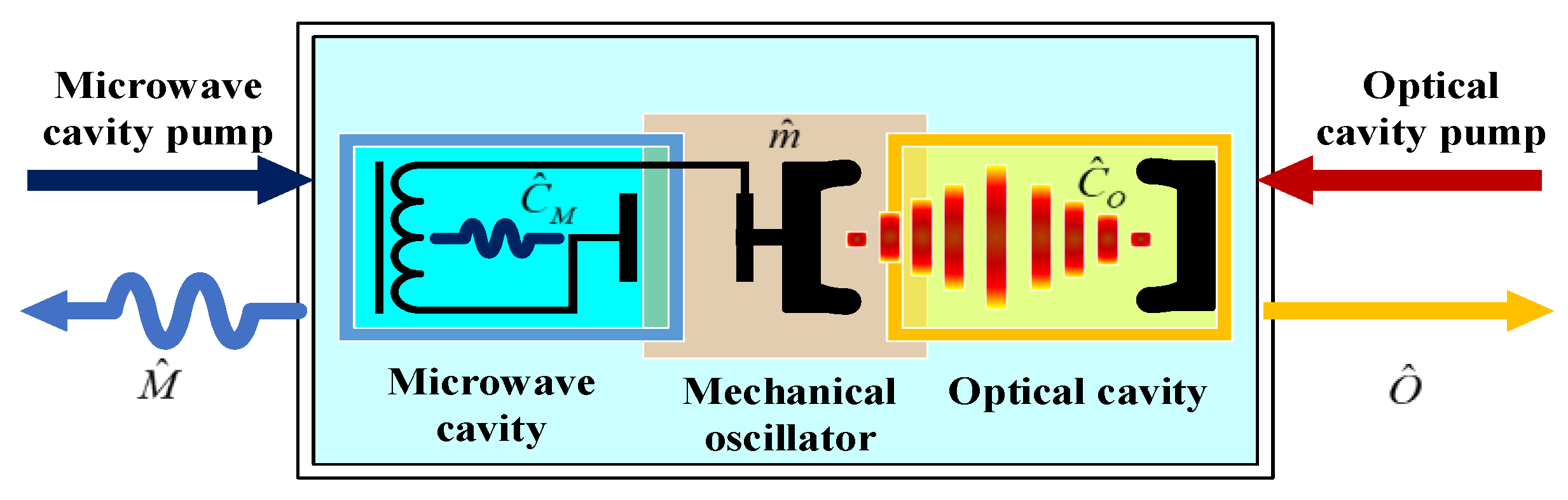 Sensors 24 07712 g001