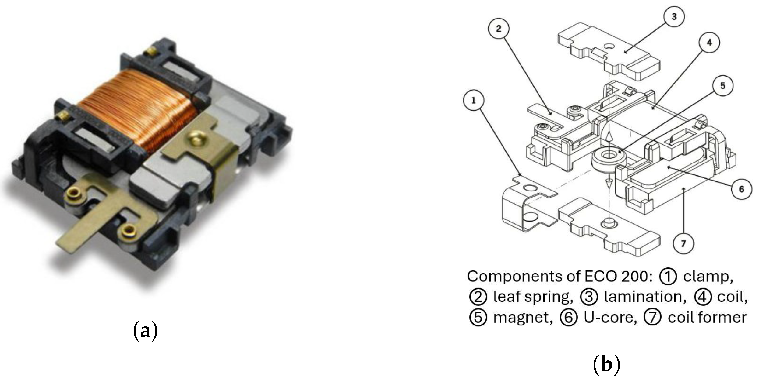 Sensors 24 07732 g001
