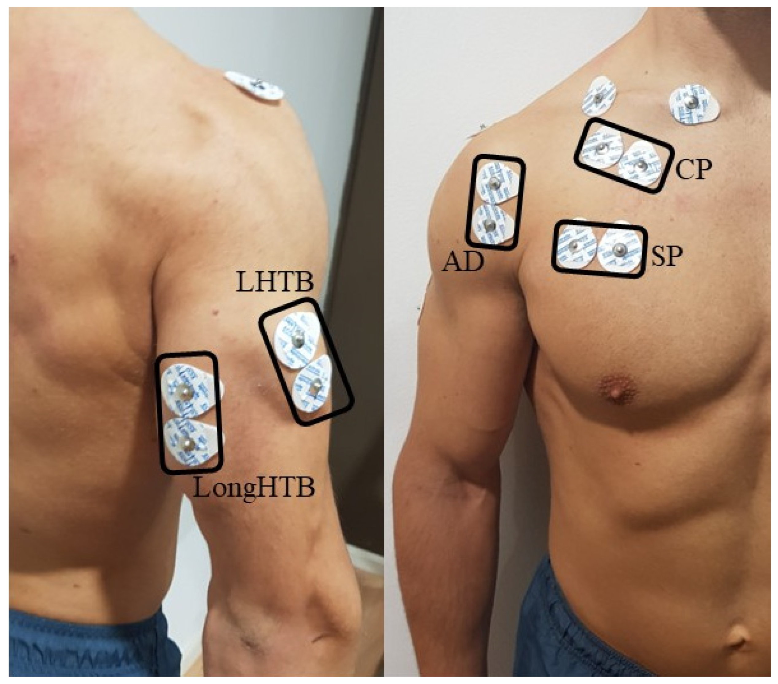 Sensors 24 07740 g002
