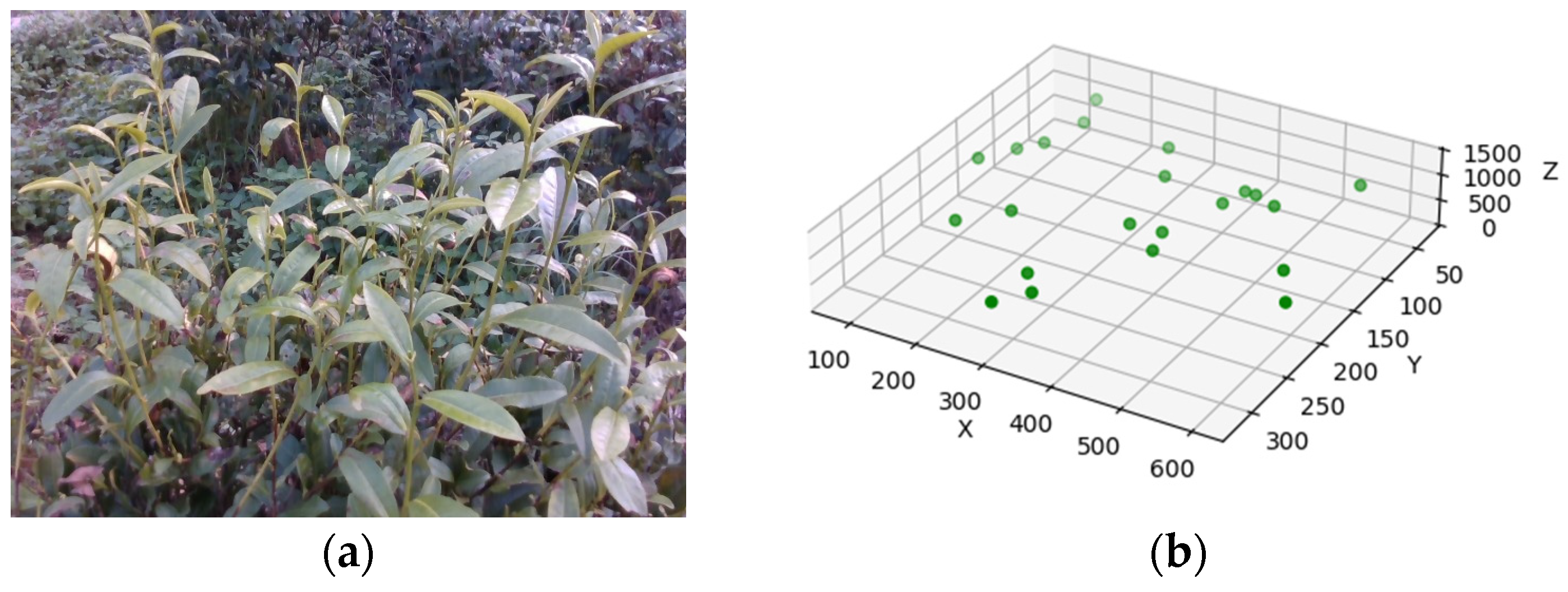 Sensors 24 07759 g012