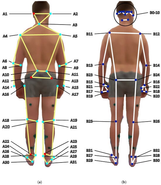 Sensors 24 07772 g003
