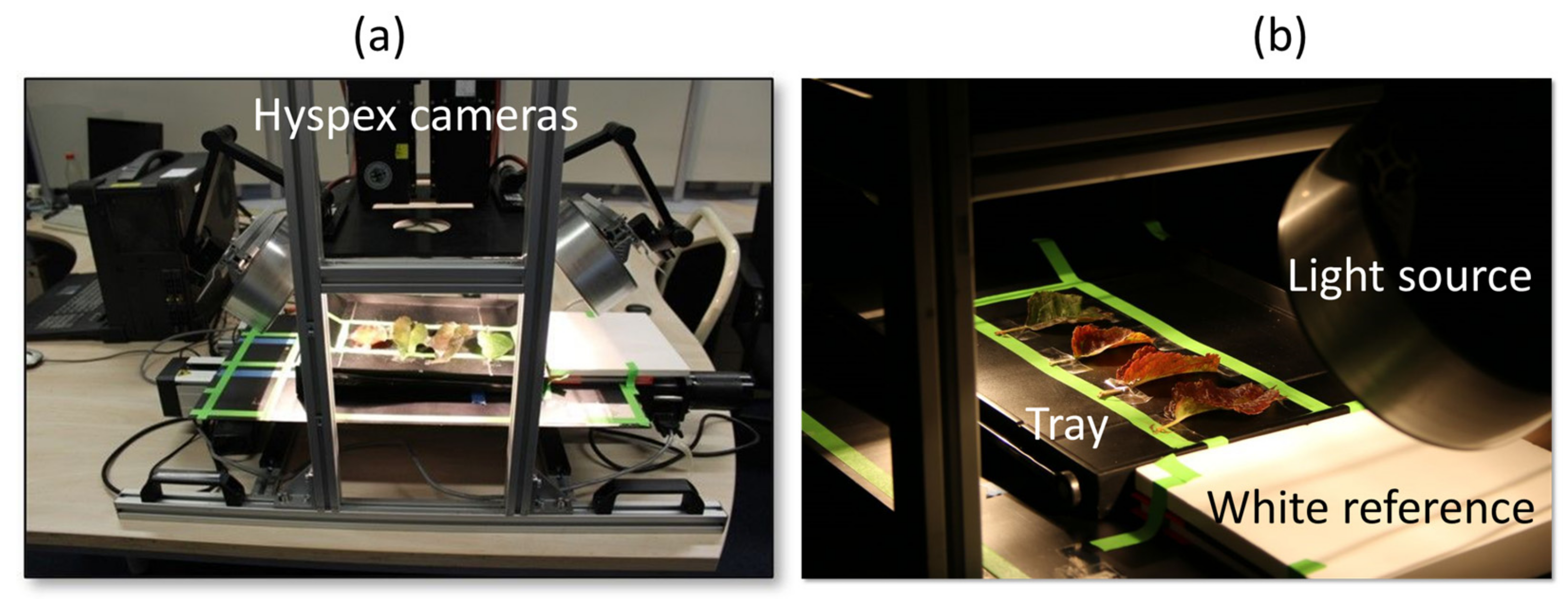 Sensors 24 07774 g001