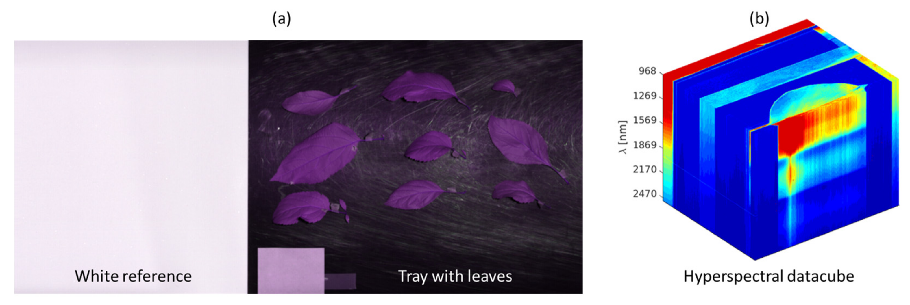 Sensors 24 07774 g002