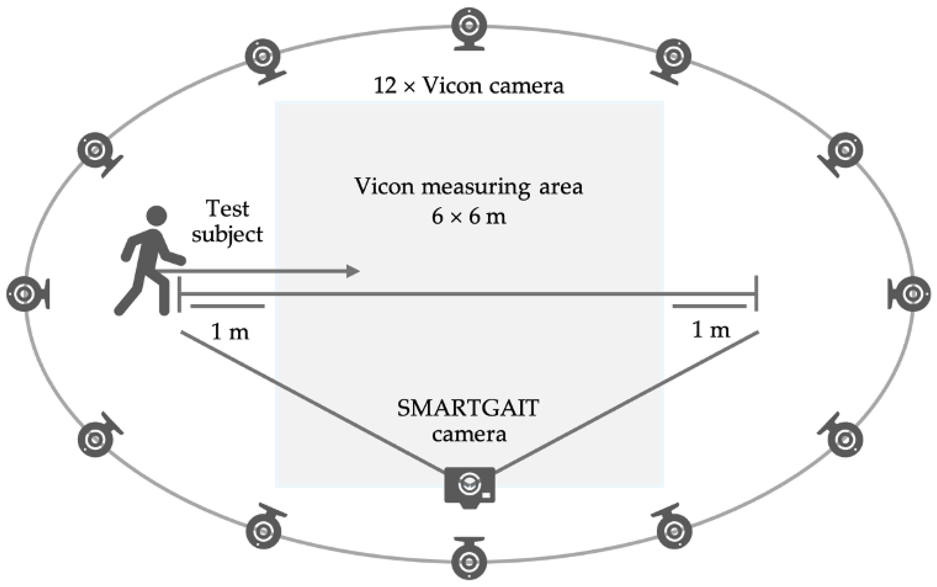 Sensors 24 07819 g001
