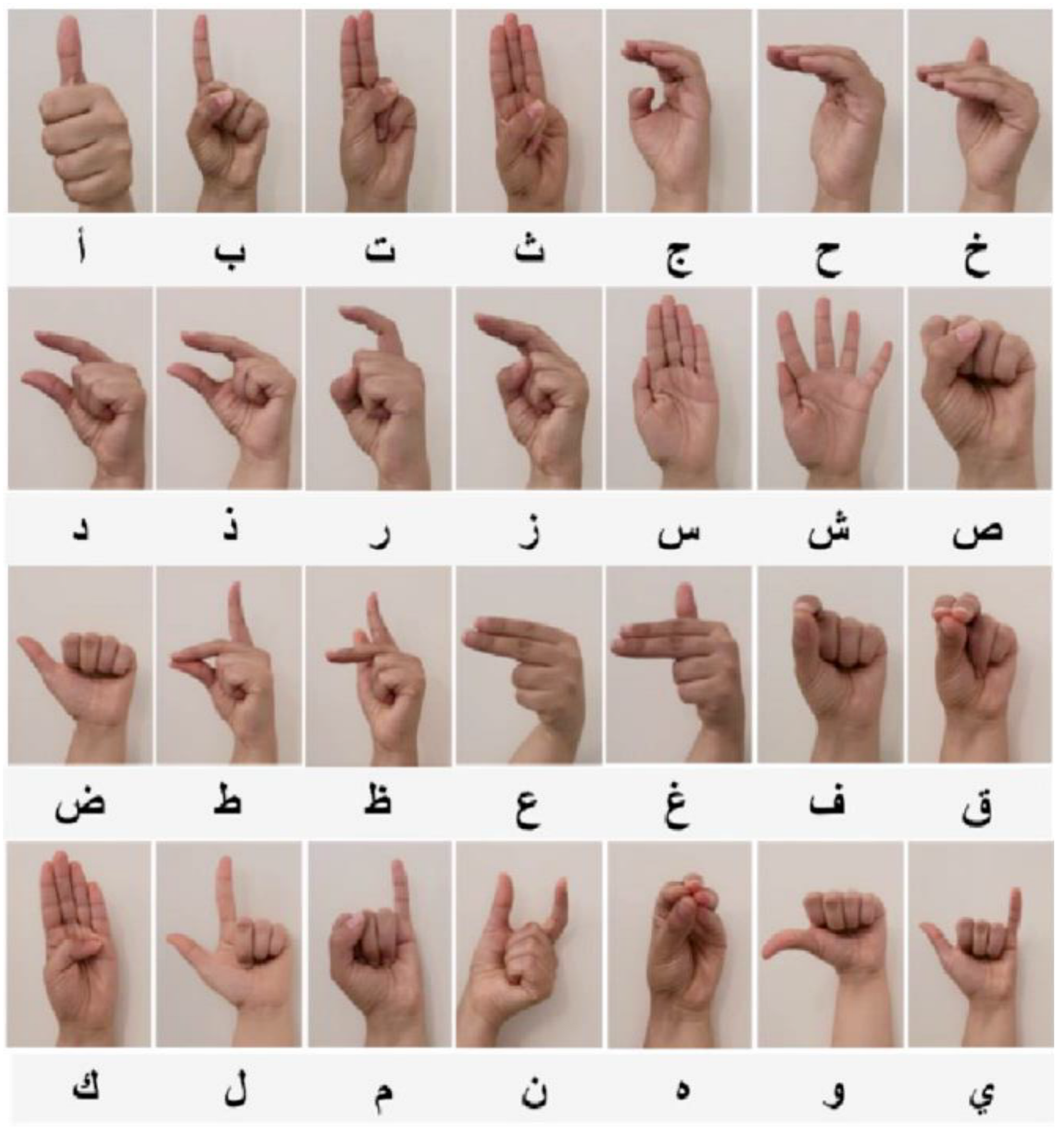 Sensors 24 07828 g007