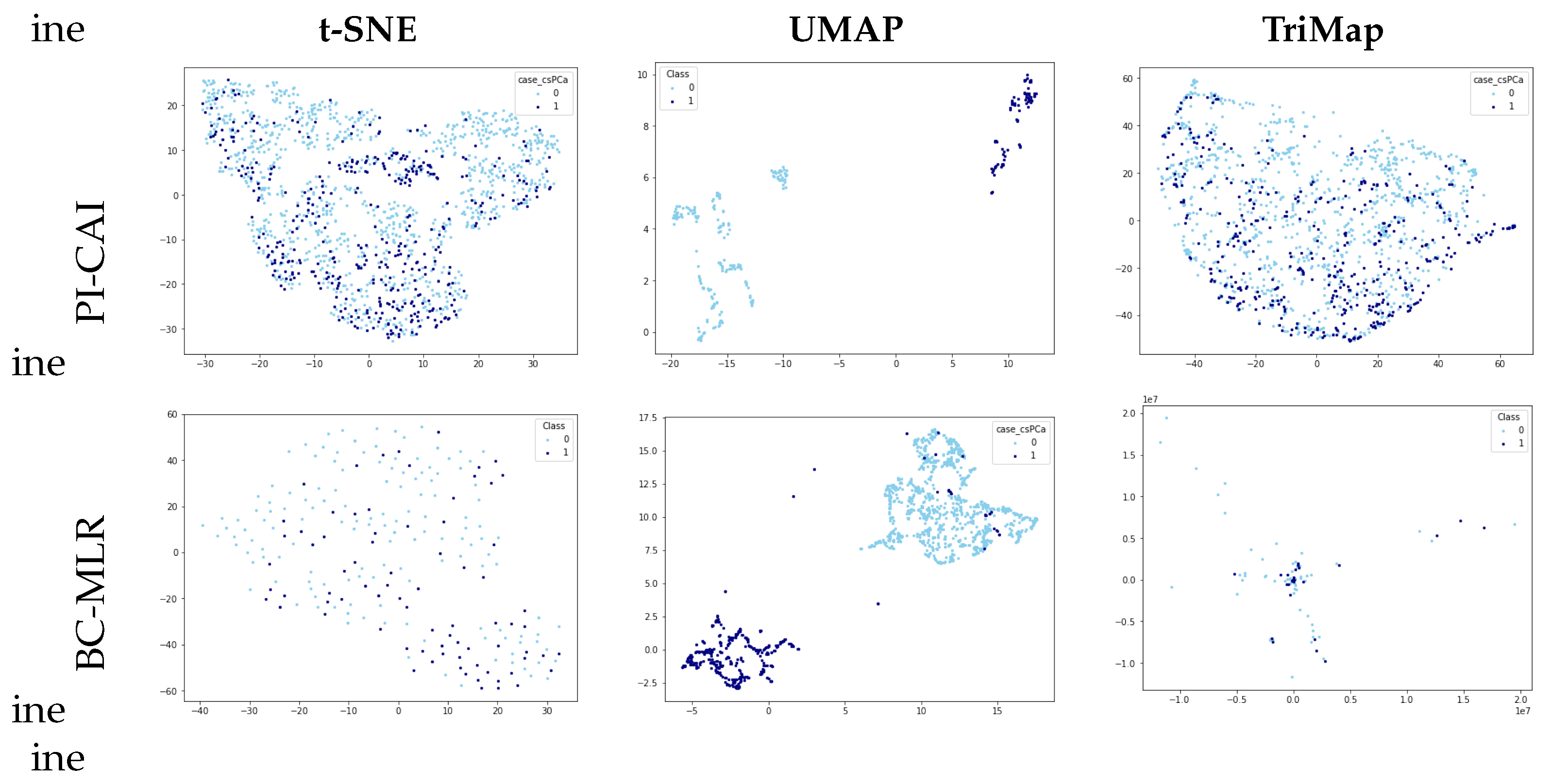 Sensors 24 07843 g001