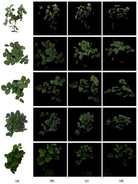 Sensors 24 07860 g0a1