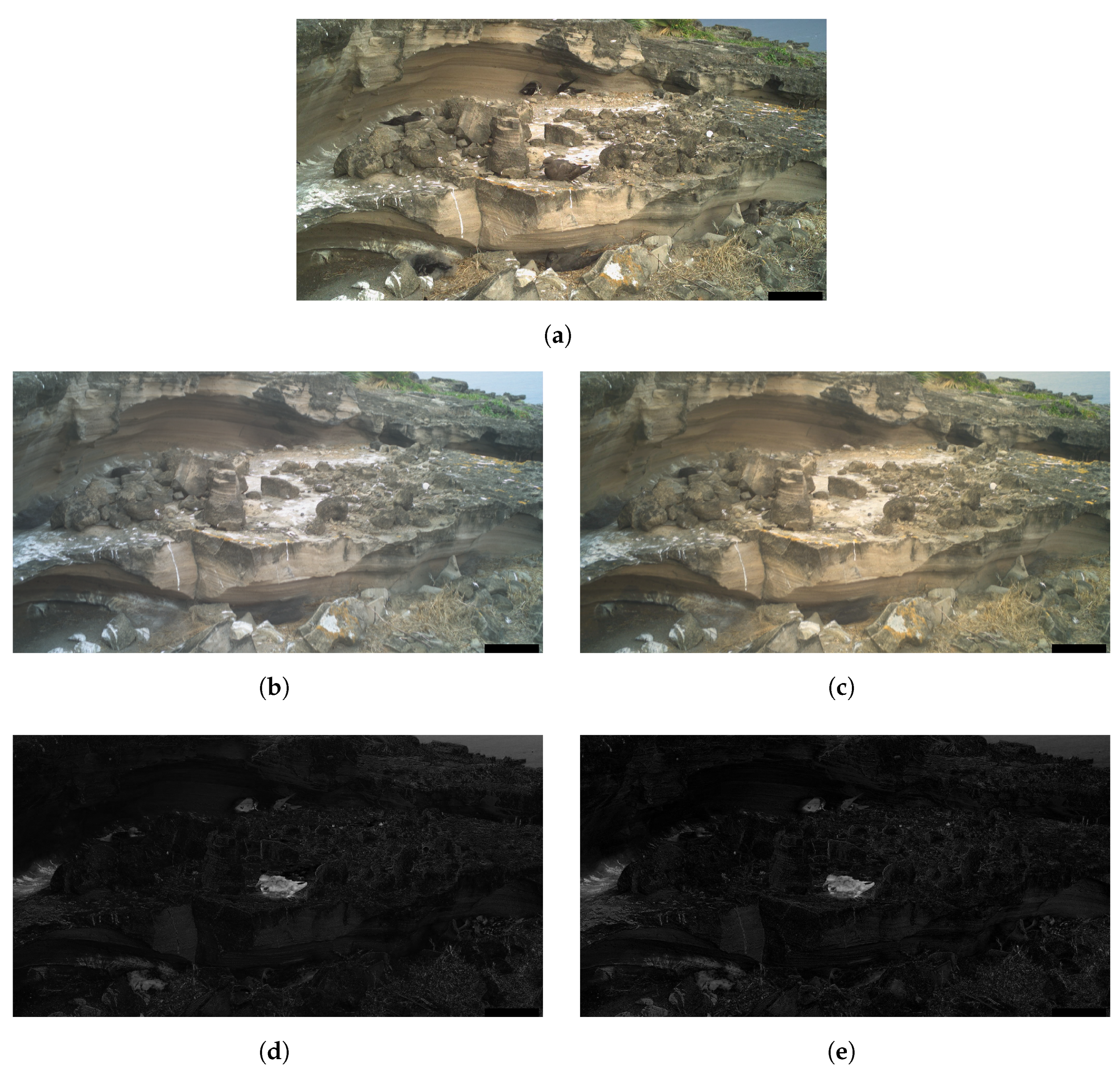 Sensors 24 08002 g002