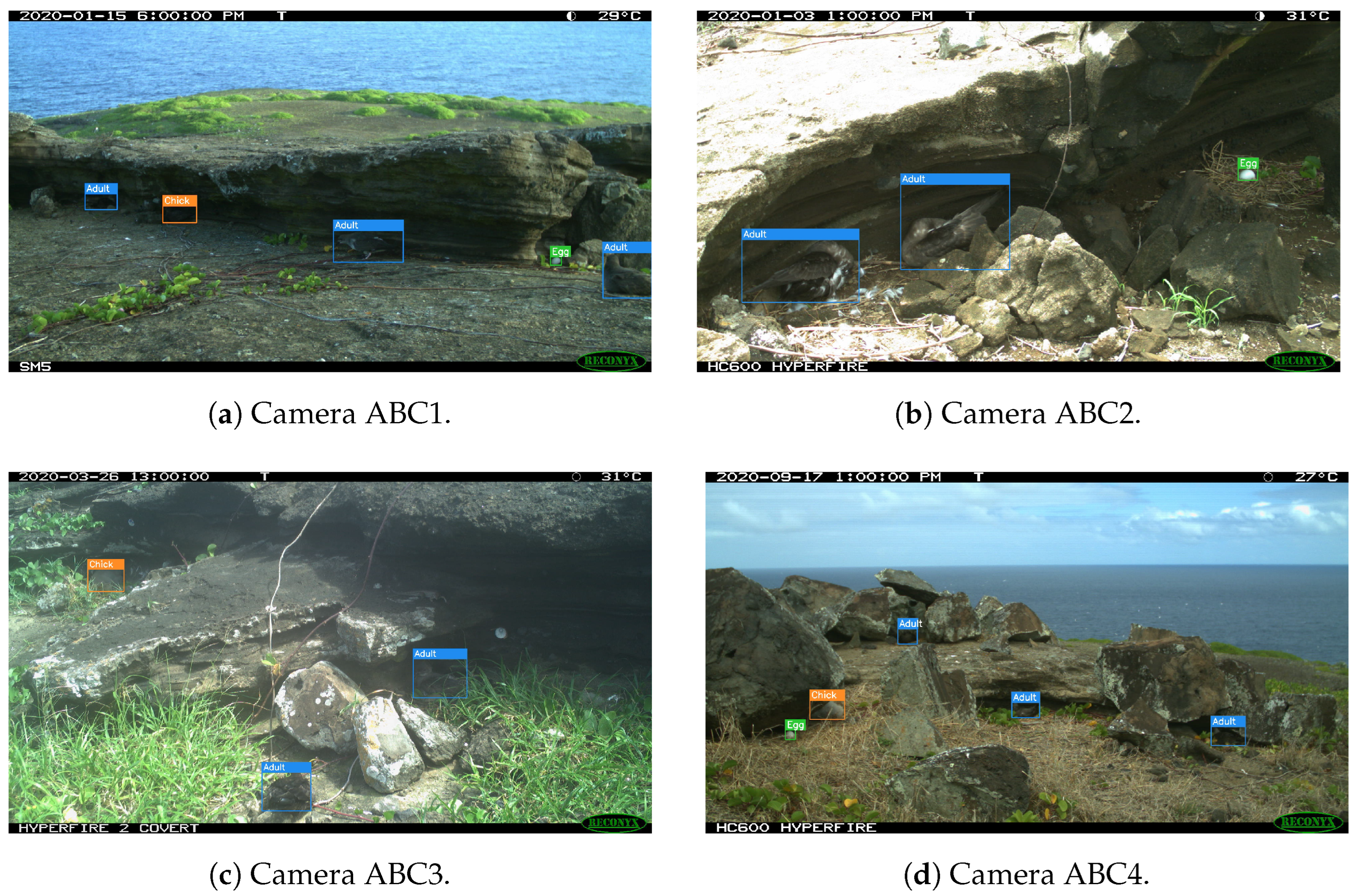 Sensors 24 08002 g004a