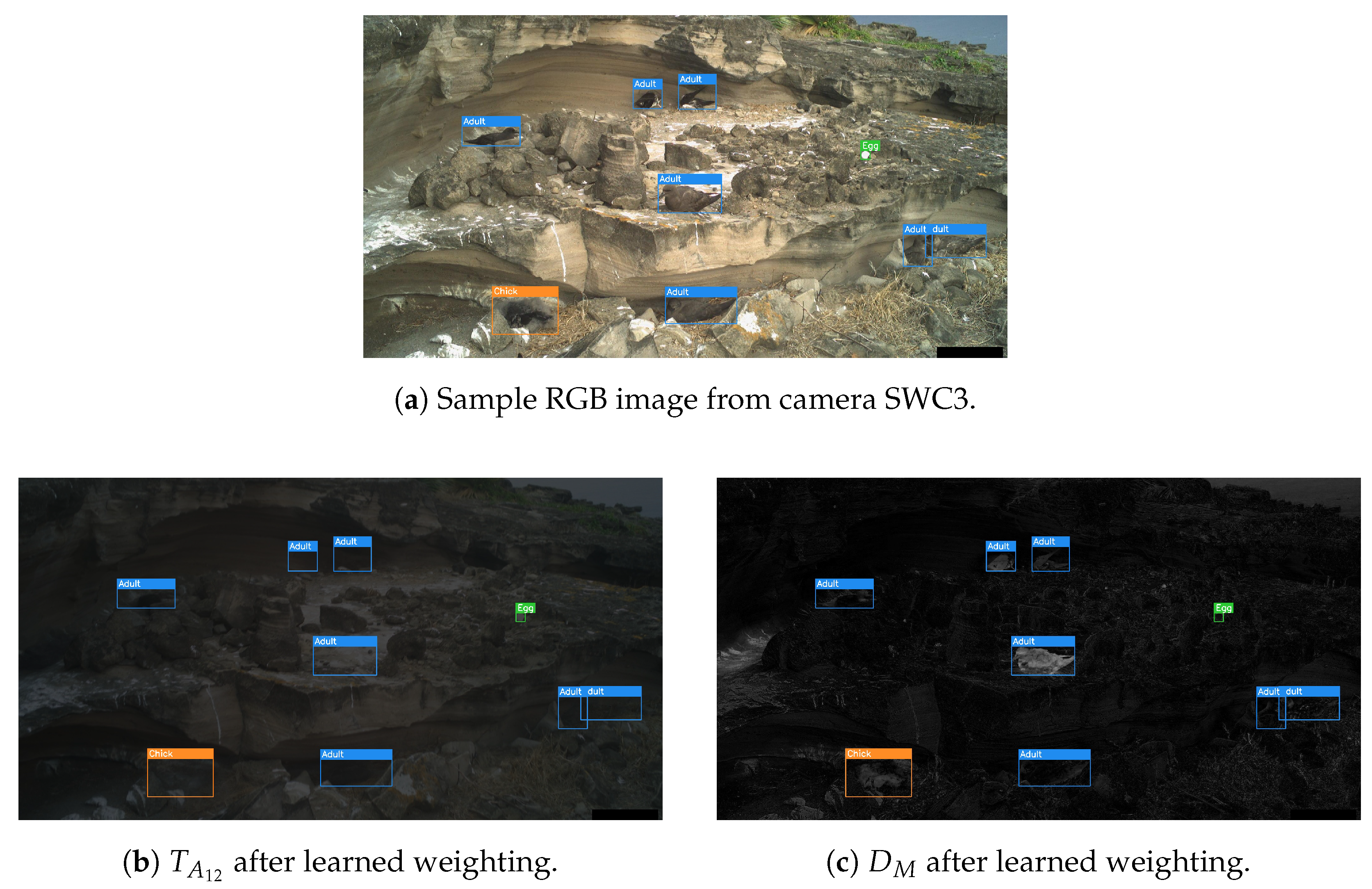 Sensors 24 08002 g012