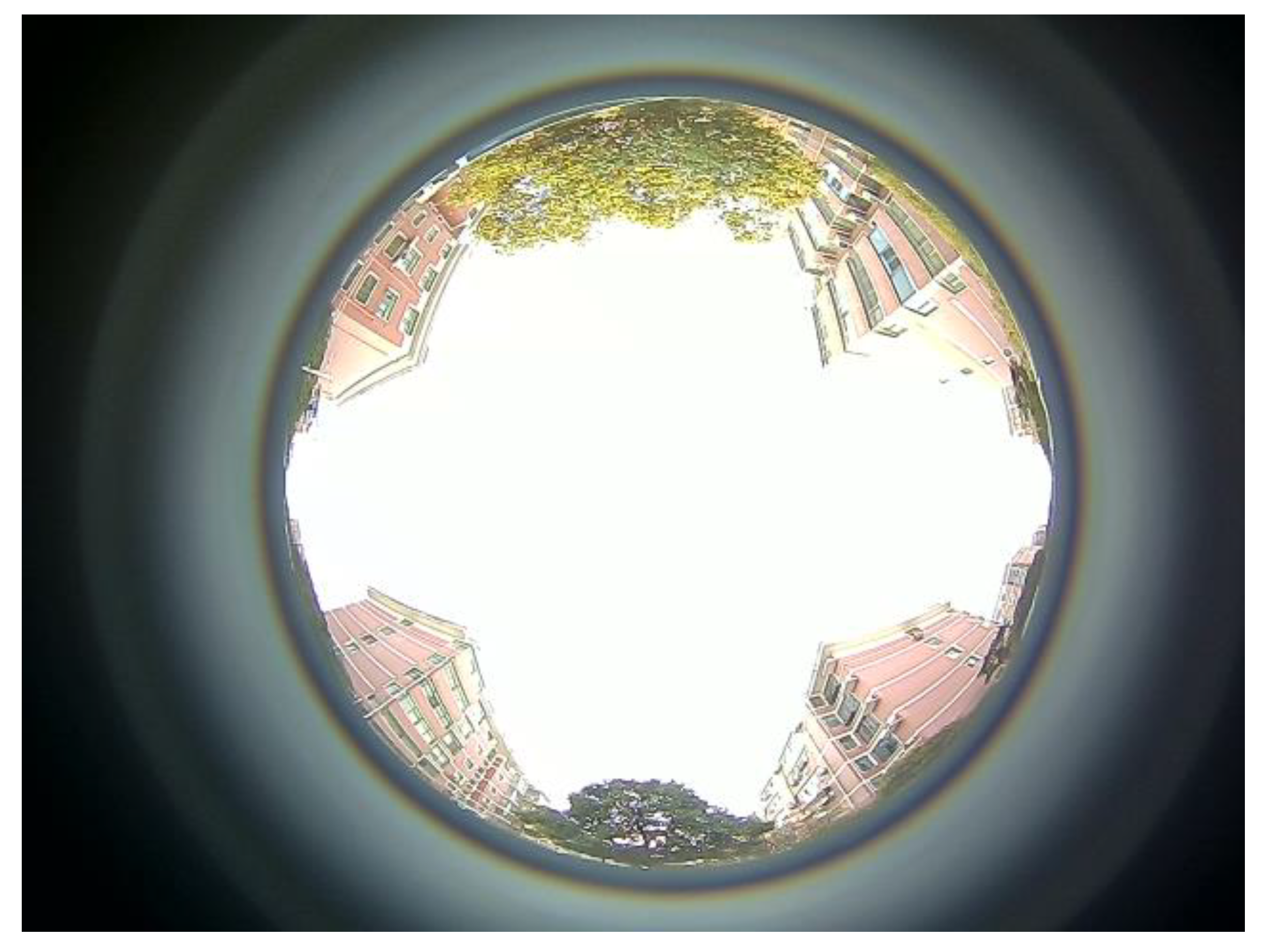 Sensors 24 08019 g003