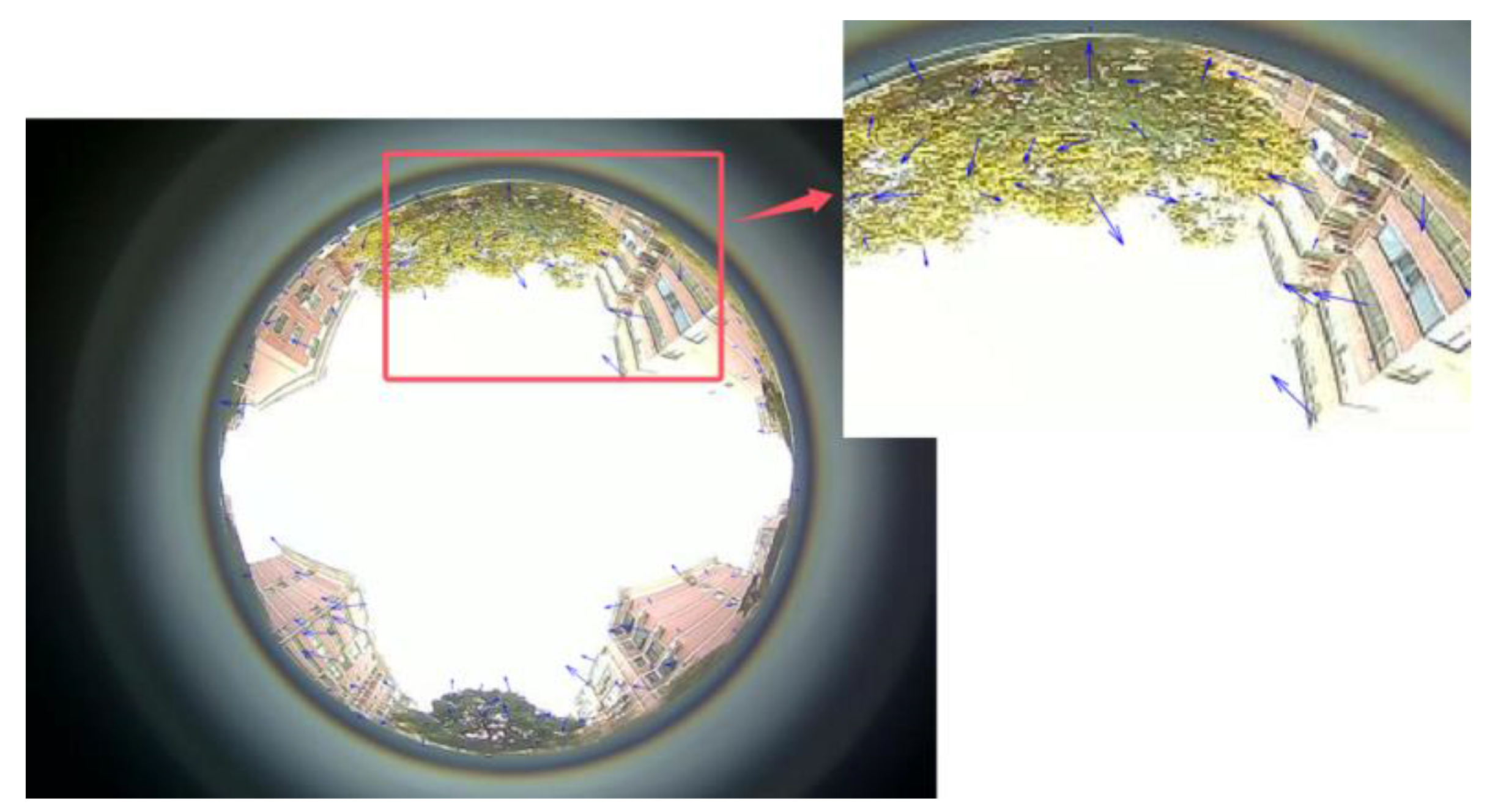 Sensors 24 08019 g004