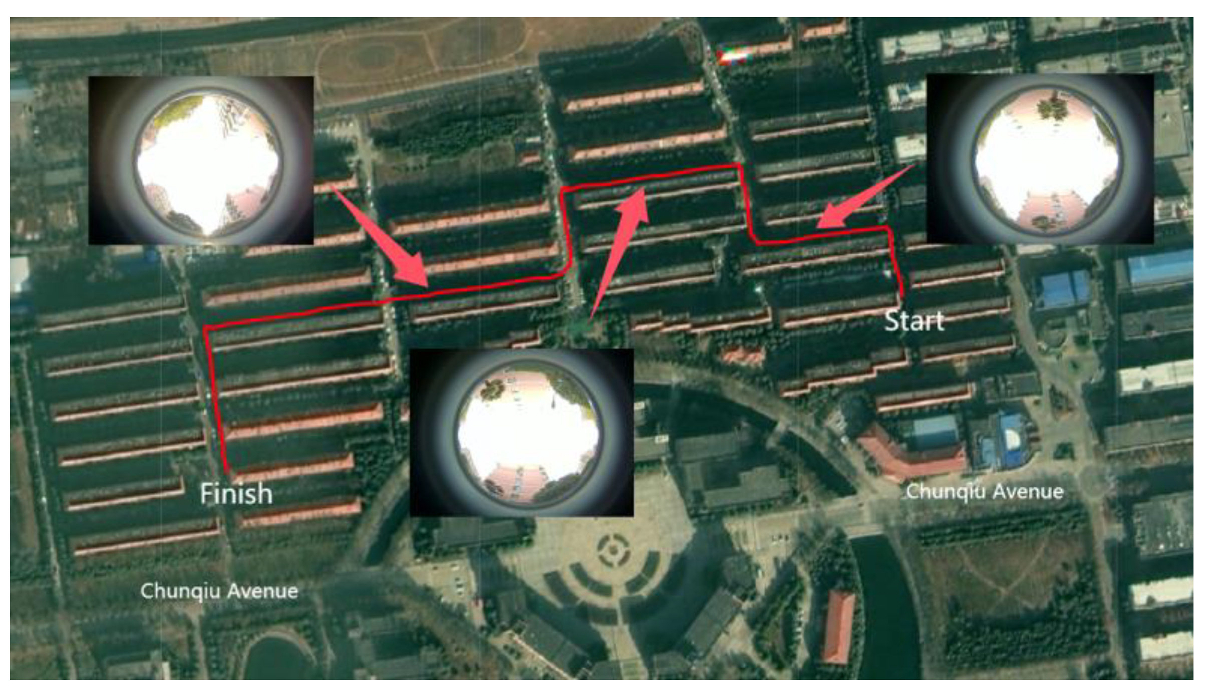 Sensors 24 08019 g016