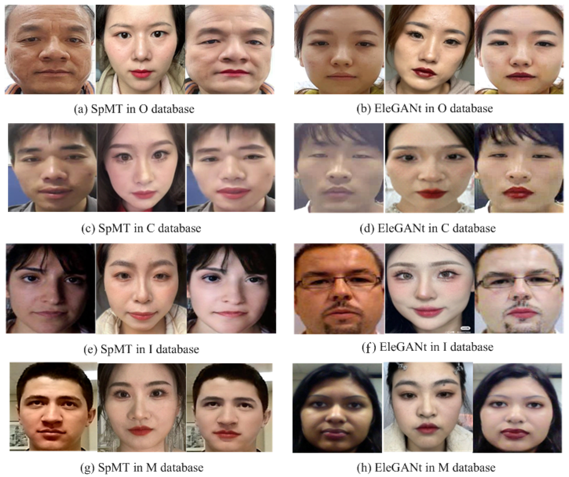 Sensors 24 08075 g006