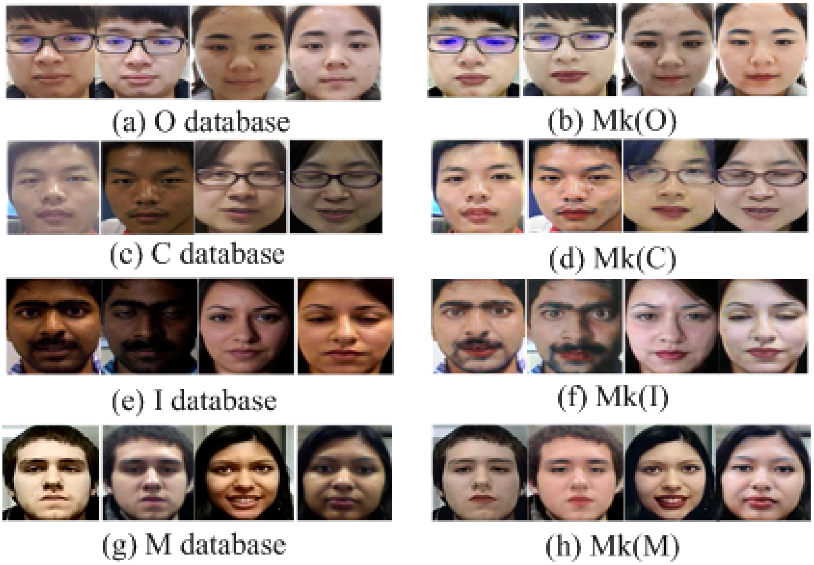 Sensors 24 08075 g007