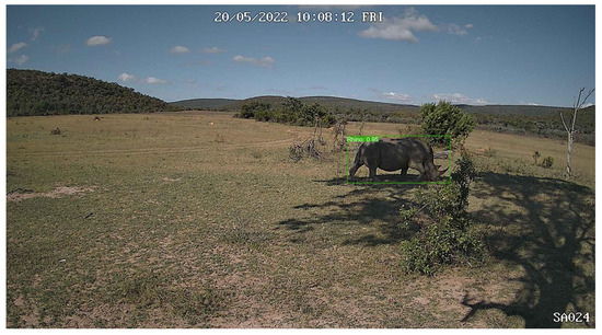 Sensors 24 08122 g0a1