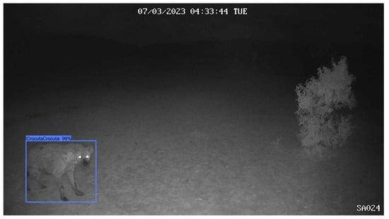 Sensors 24 08122 g0a10