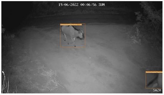 Sensors 24 08122 g0a2