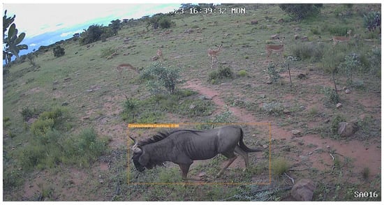 Sensors 24 08122 g0a3